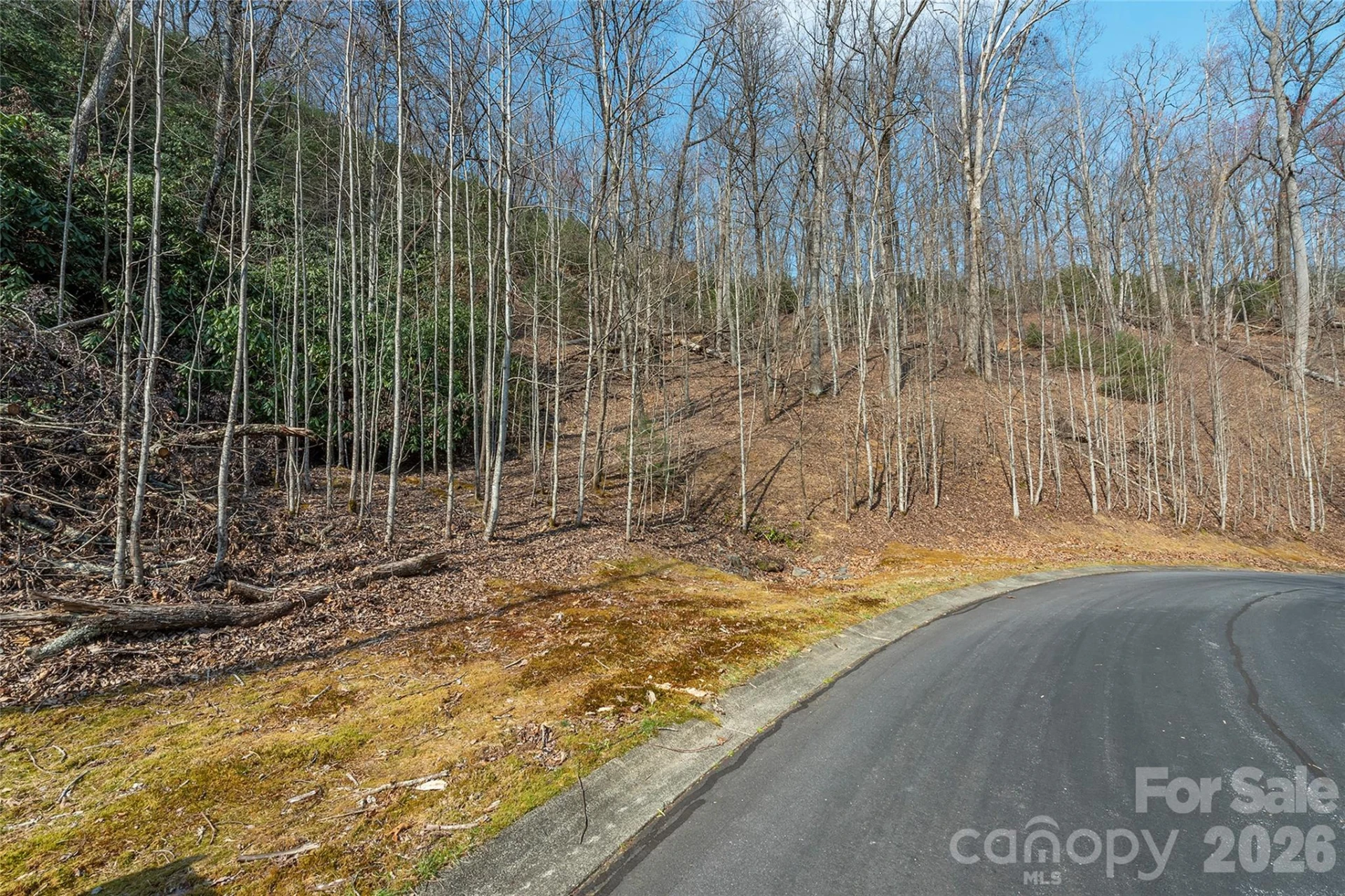 Lot 12 Shining Rock Path - Photo 2