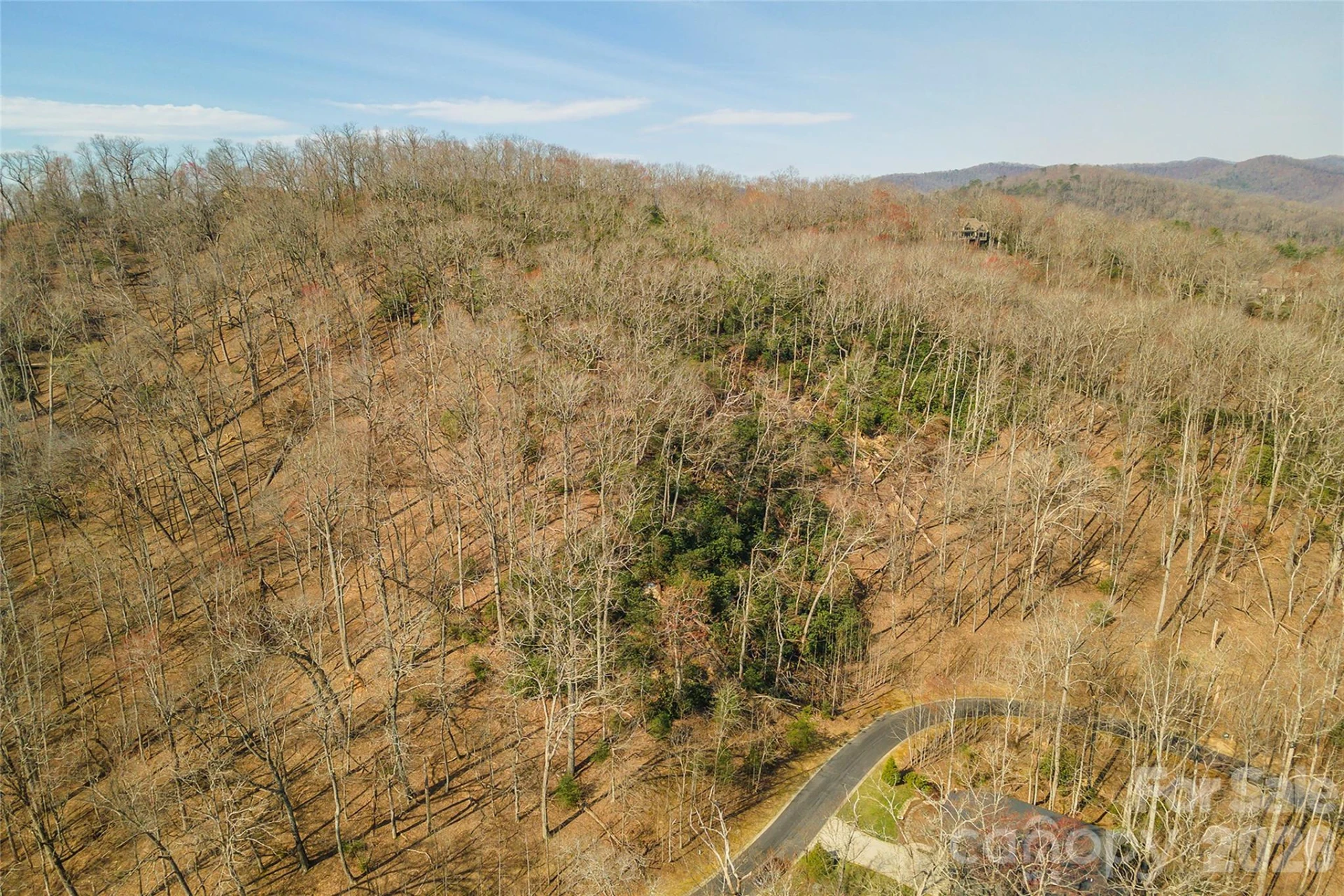 Lot 12 Shining Rock Path - Photo 11