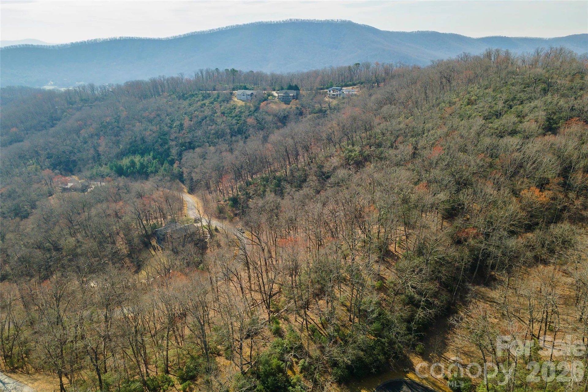 Lot 12 Shining Rock Path - Photo 17