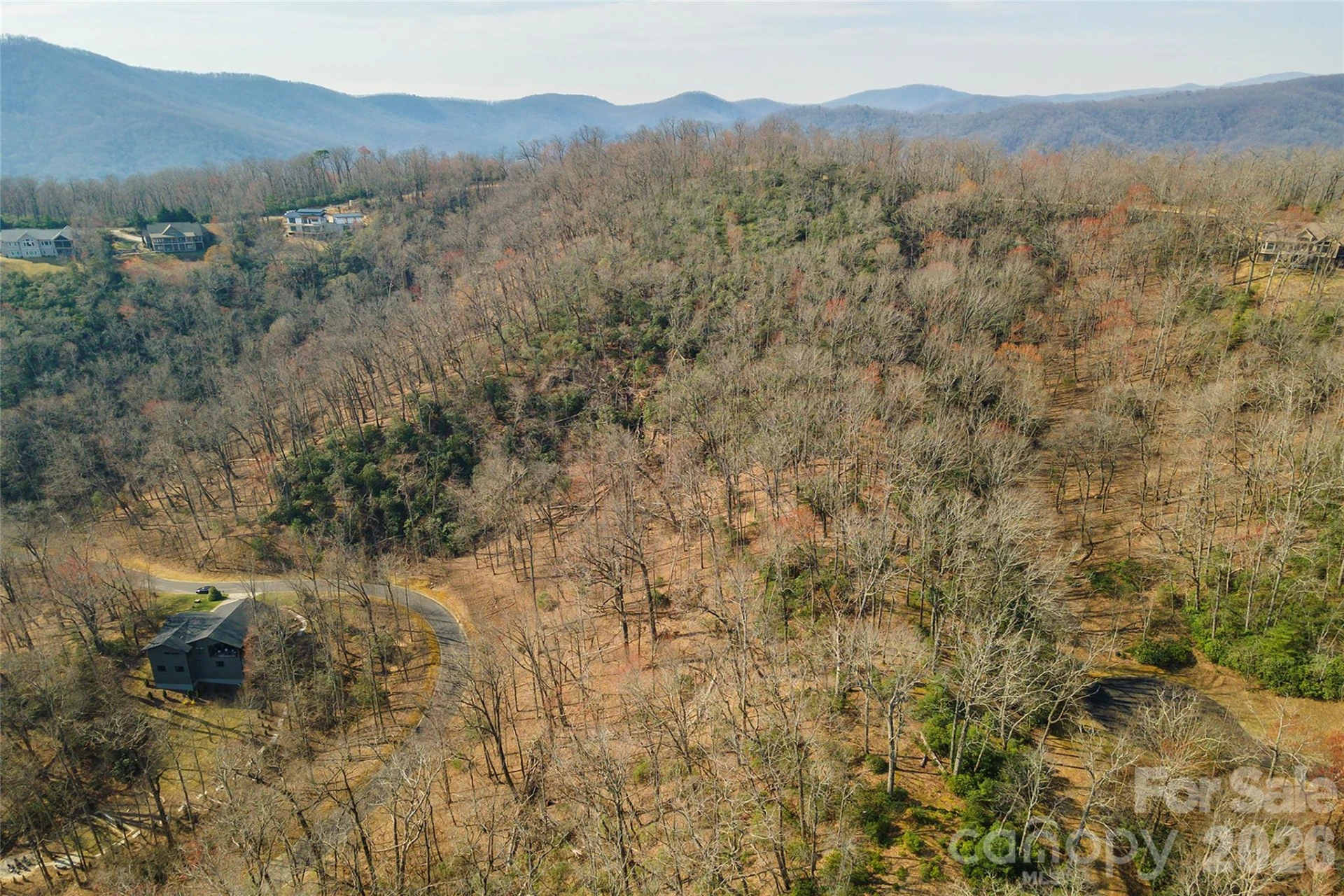 Lot 12 Shining Rock Path - Photo 19