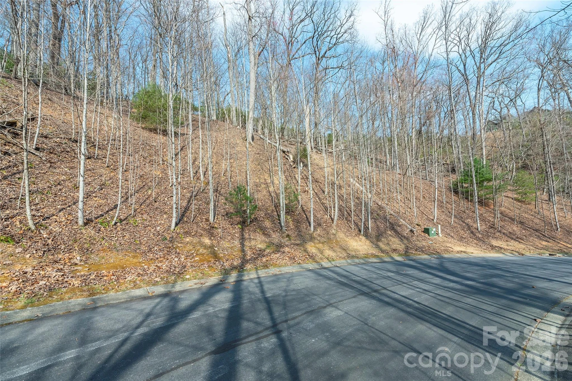 Lot 12 Shining Rock Path - Photo 3