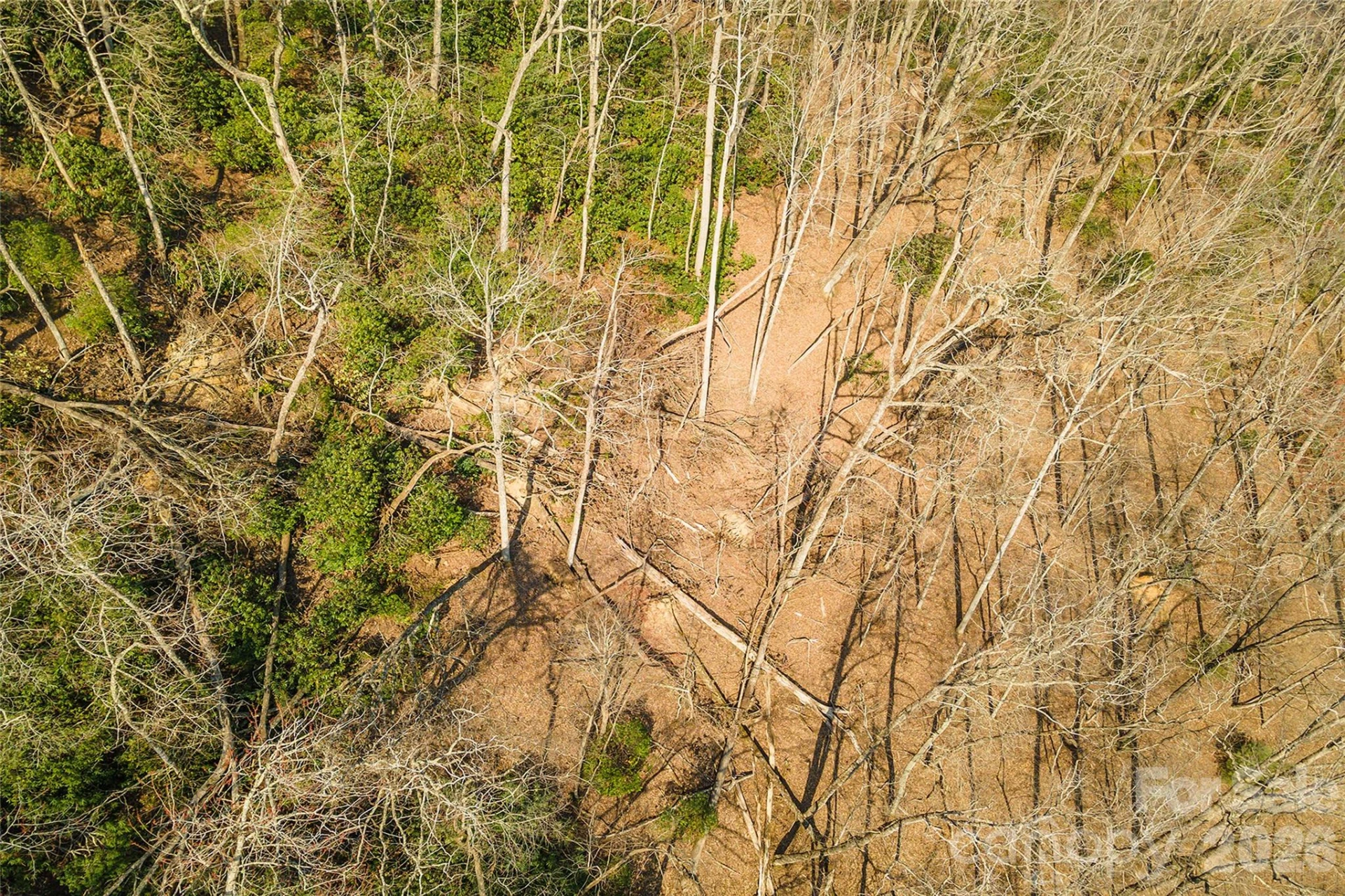 Lot 12 Shining Rock Path - Photo 21