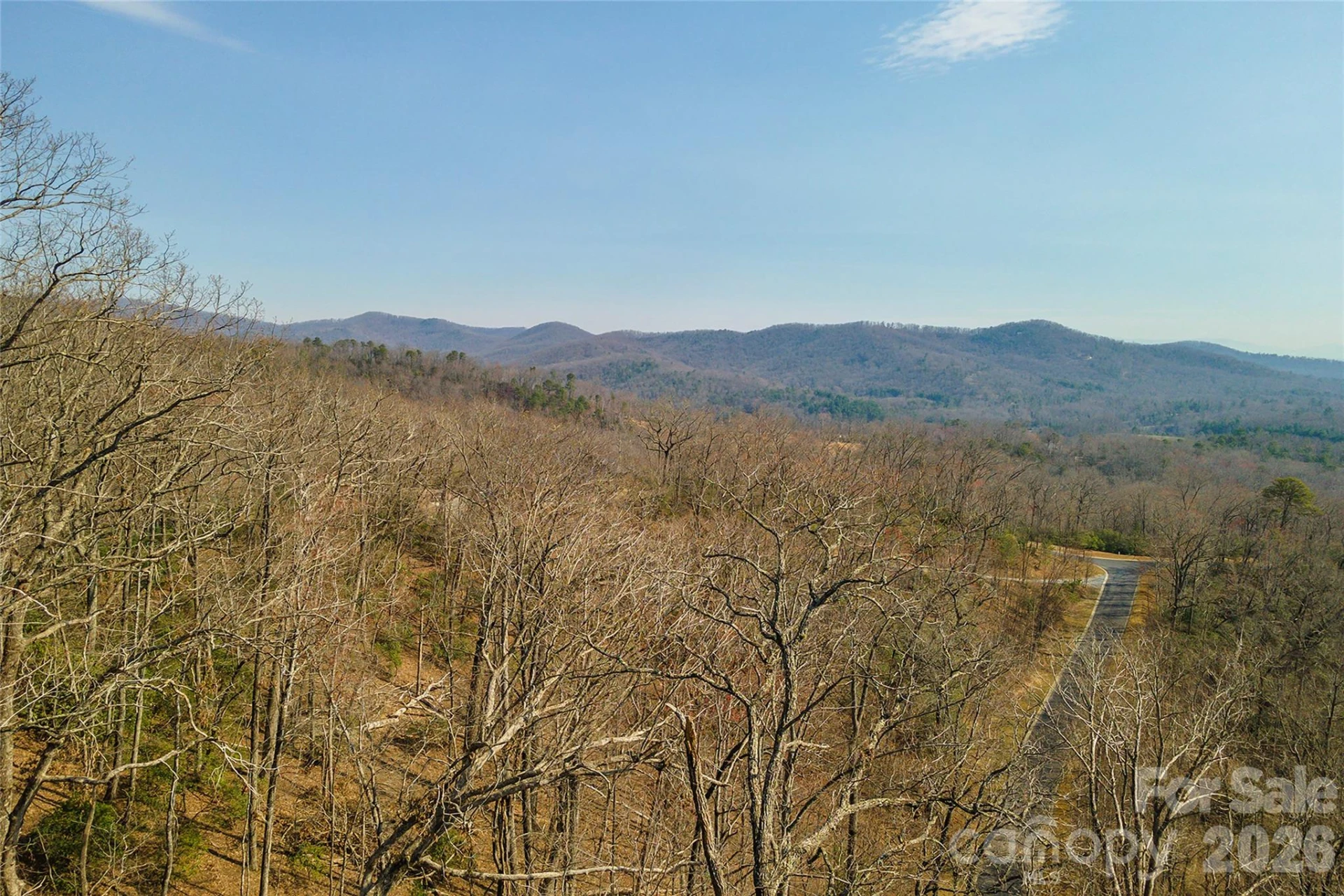 Lot 12 Shining Rock Path - Photo 23
