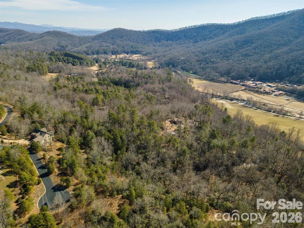 Lot 12 Shining Rock Path - Photo 25