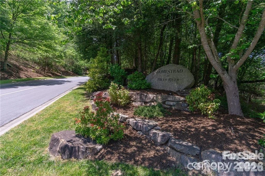 Lot 12 Shining Rock Path - Photo 4