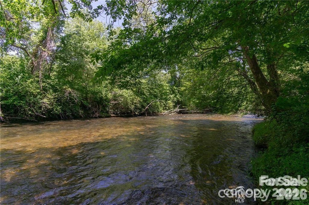 Lot 12 Shining Rock Path - Photo 8
