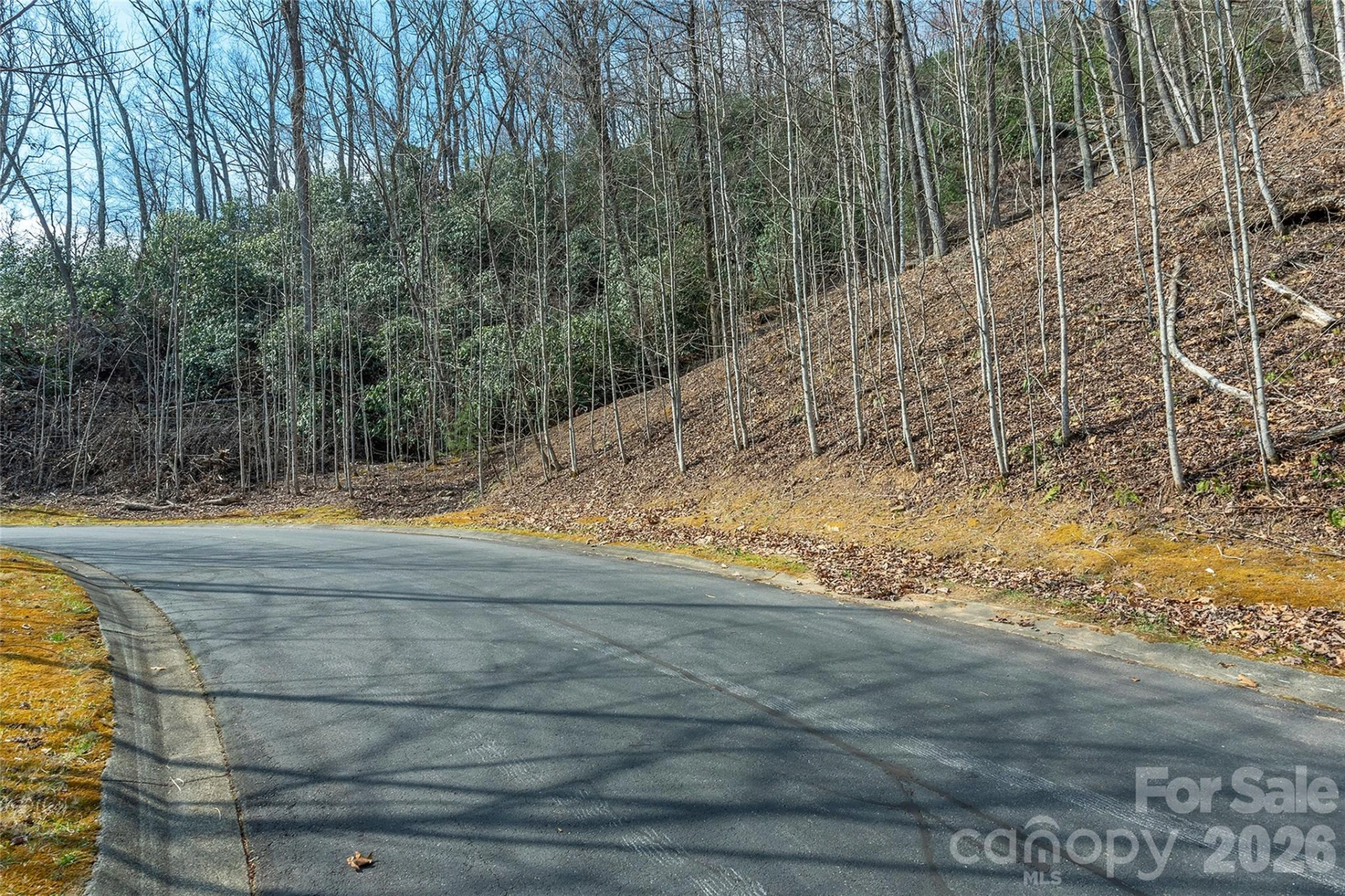 Lot 12 Shining Rock Path - Photo 9