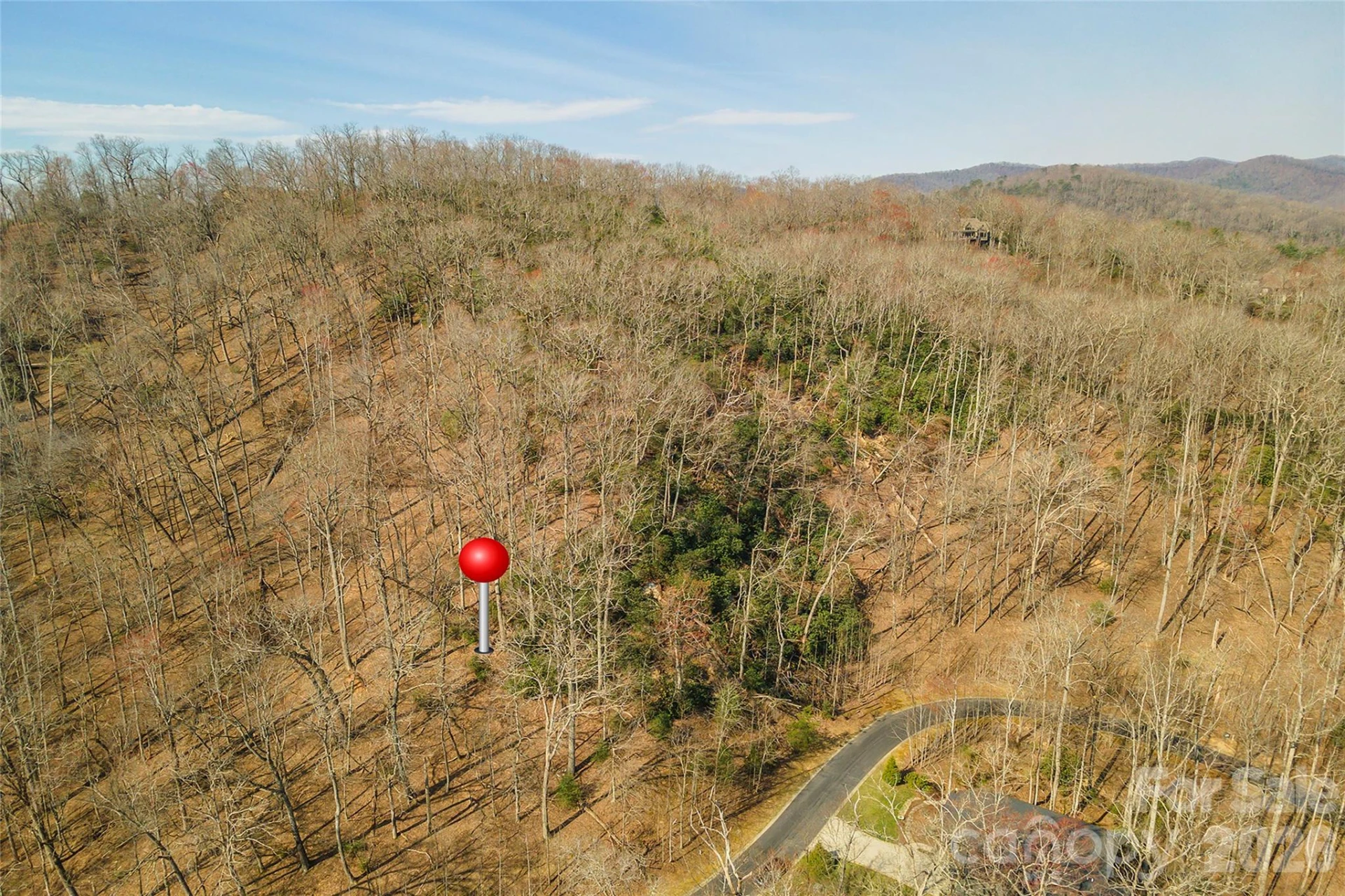Lot 12 Shining Rock Path - Photo 10