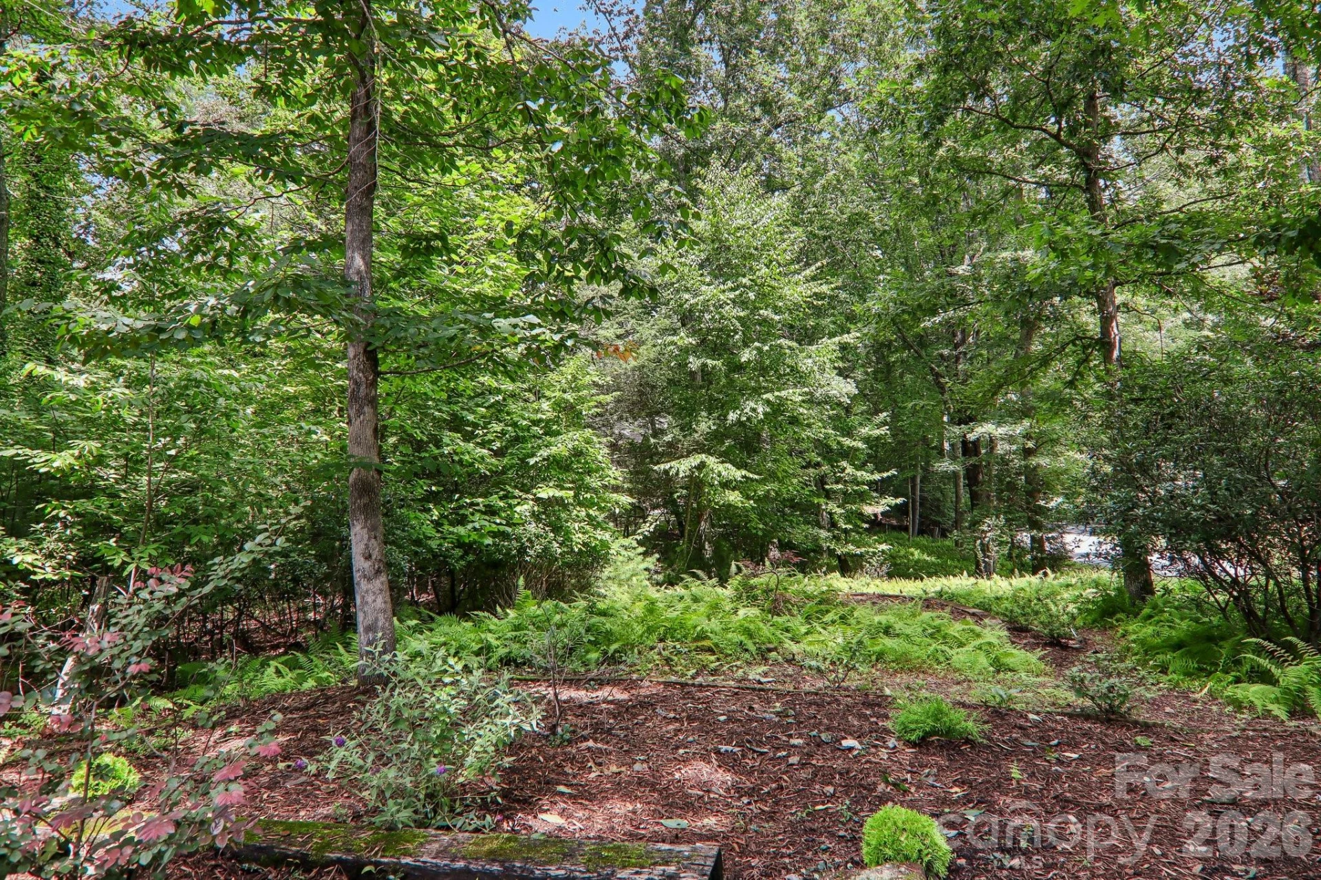 3 Edelweiss Drive - Photo 41