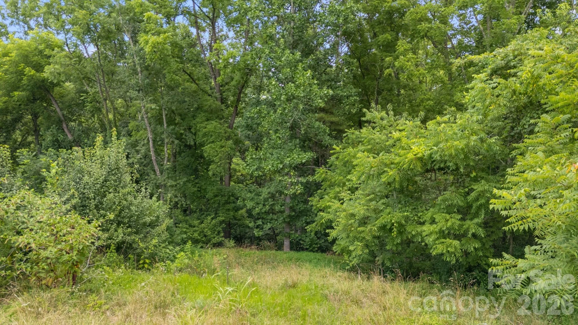 9999 OLD NC 20 Highway - Photo 13