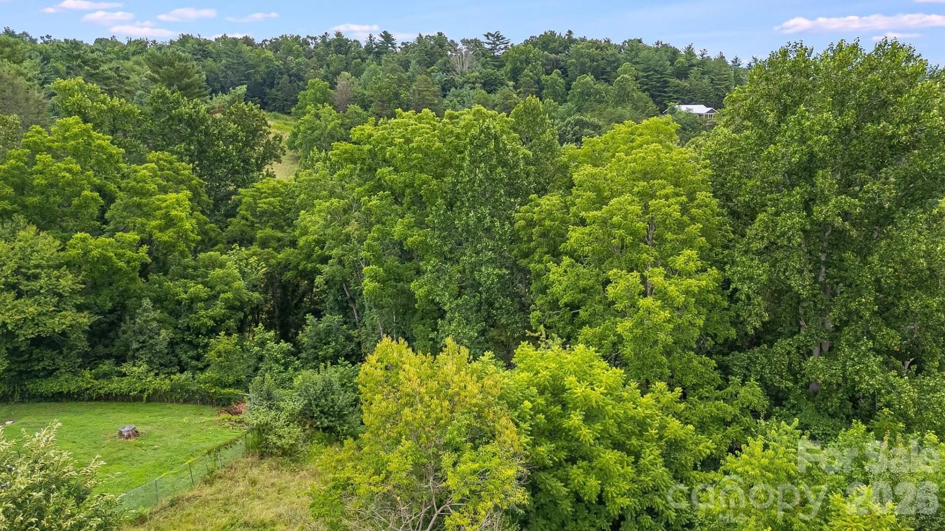 9999 OLD NC 20 Highway - Photo 17