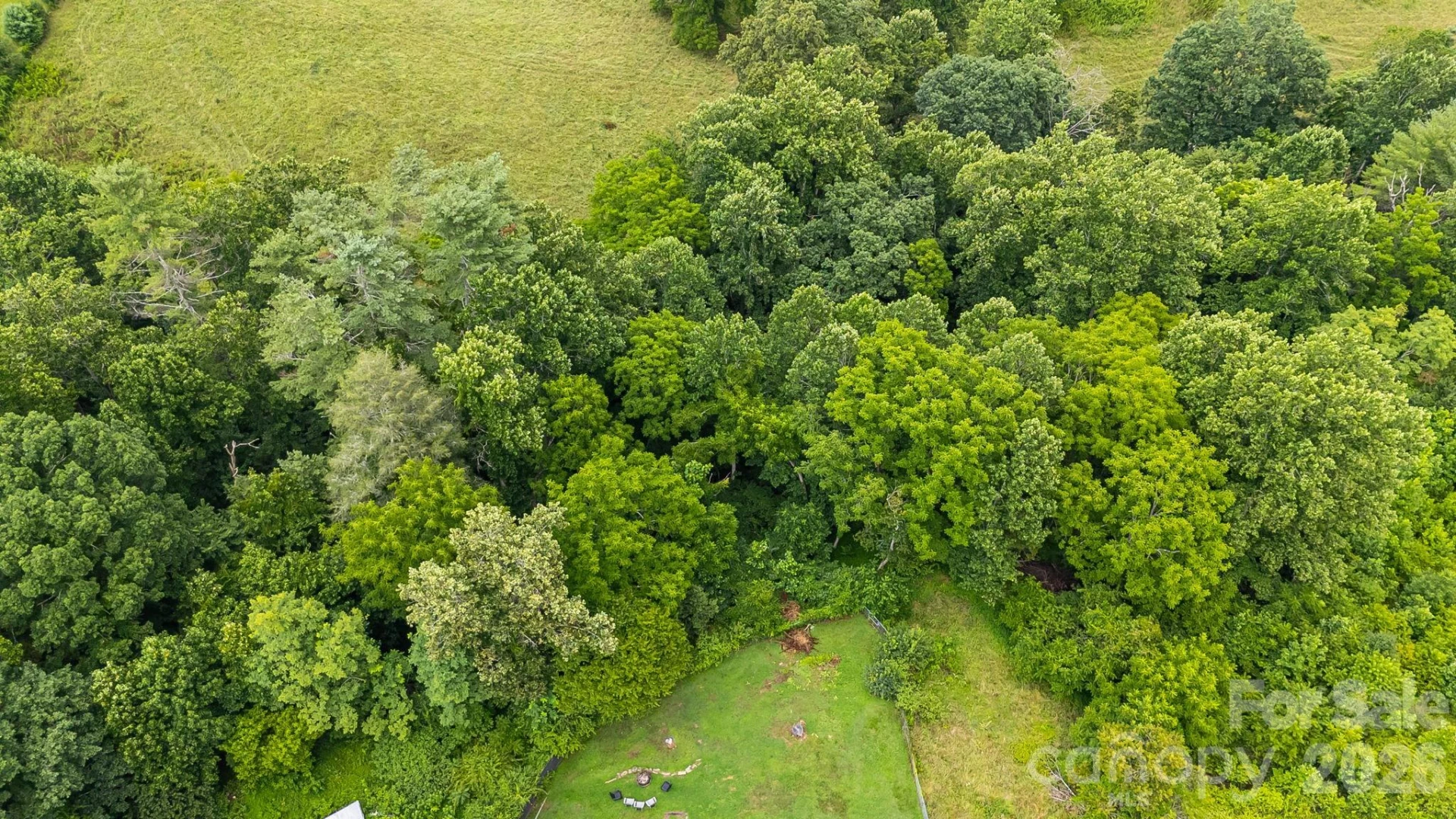 9999 OLD NC 20 Highway - Photo 10