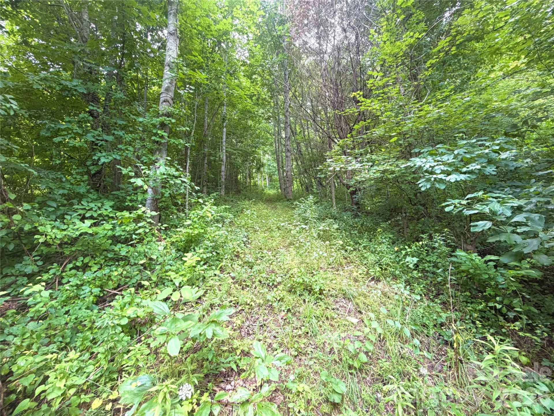 00 Trillium Way - Photo 17