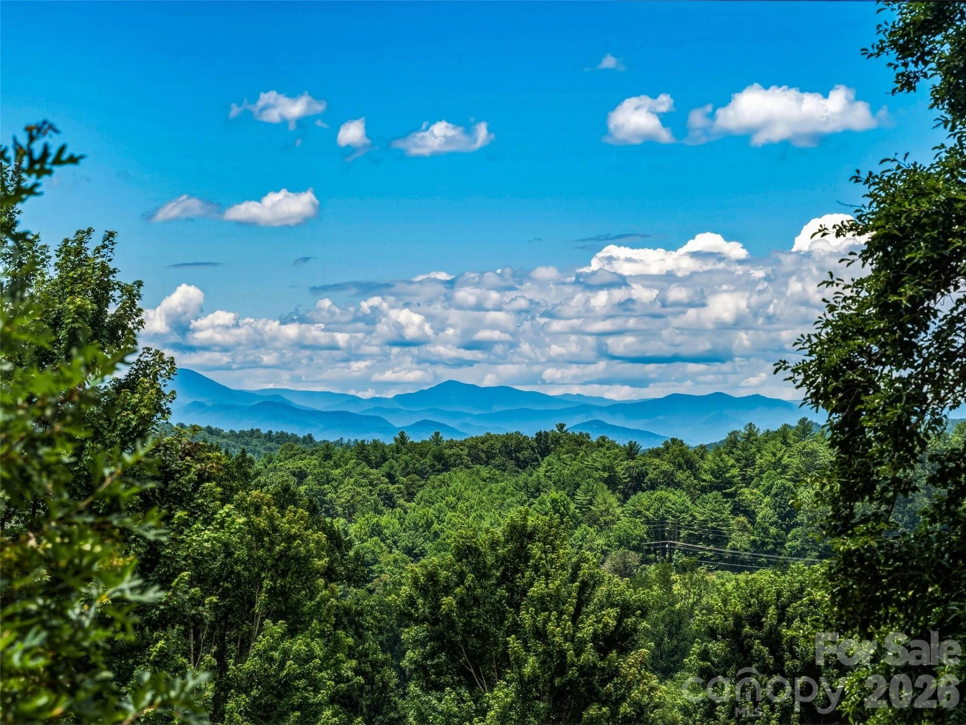 23 Village Overlook Loop - Photo 6