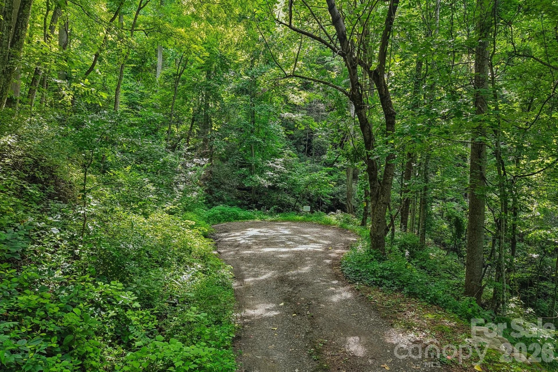 TBD Indian Falls Road - Photo 3