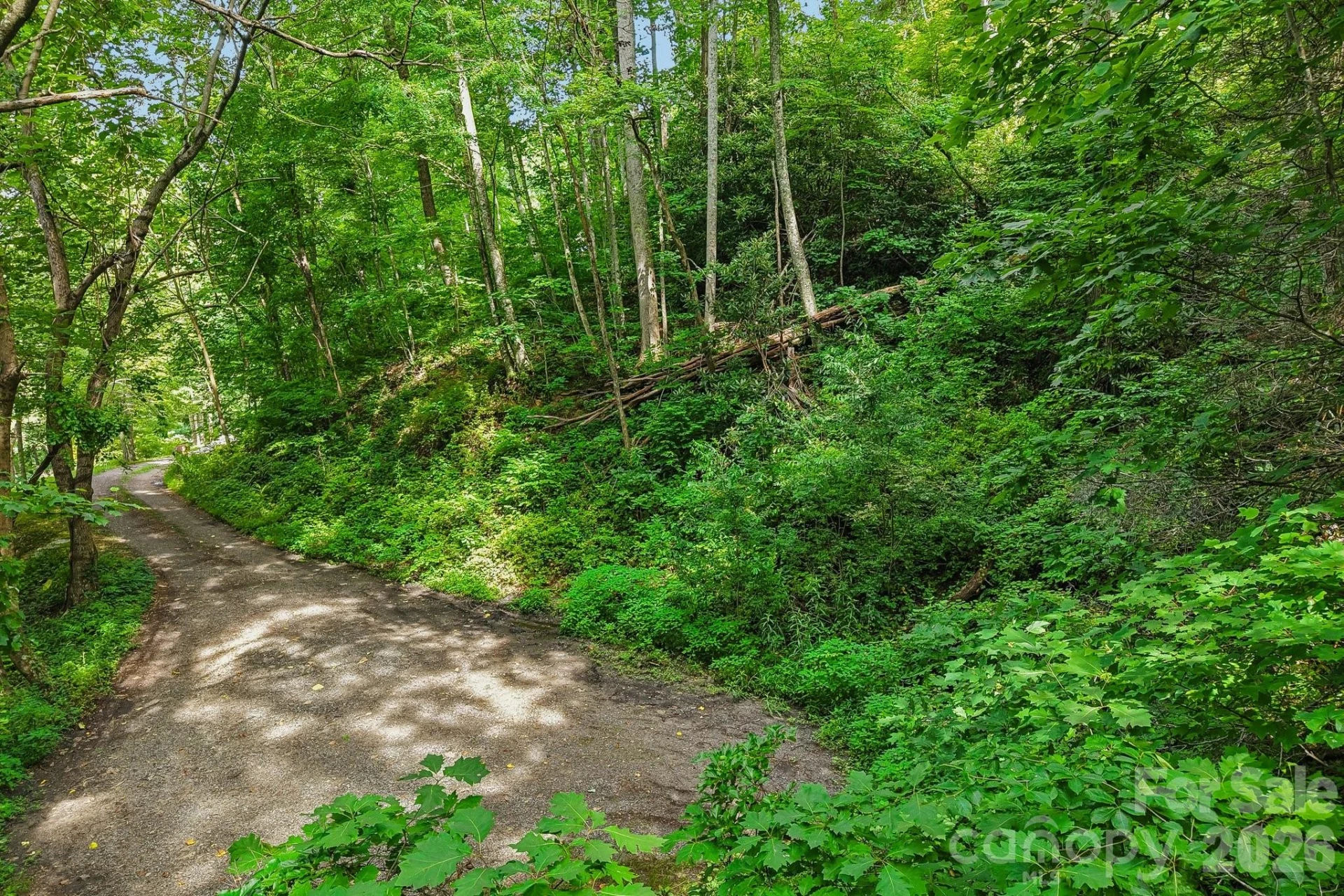 TBD Indian Falls Road - Photo 4