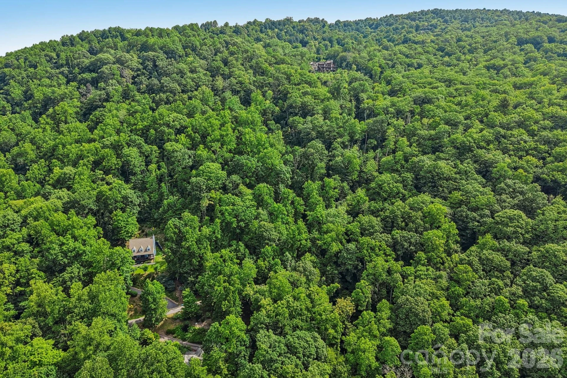 TBD Indian Falls Road - Photo 6