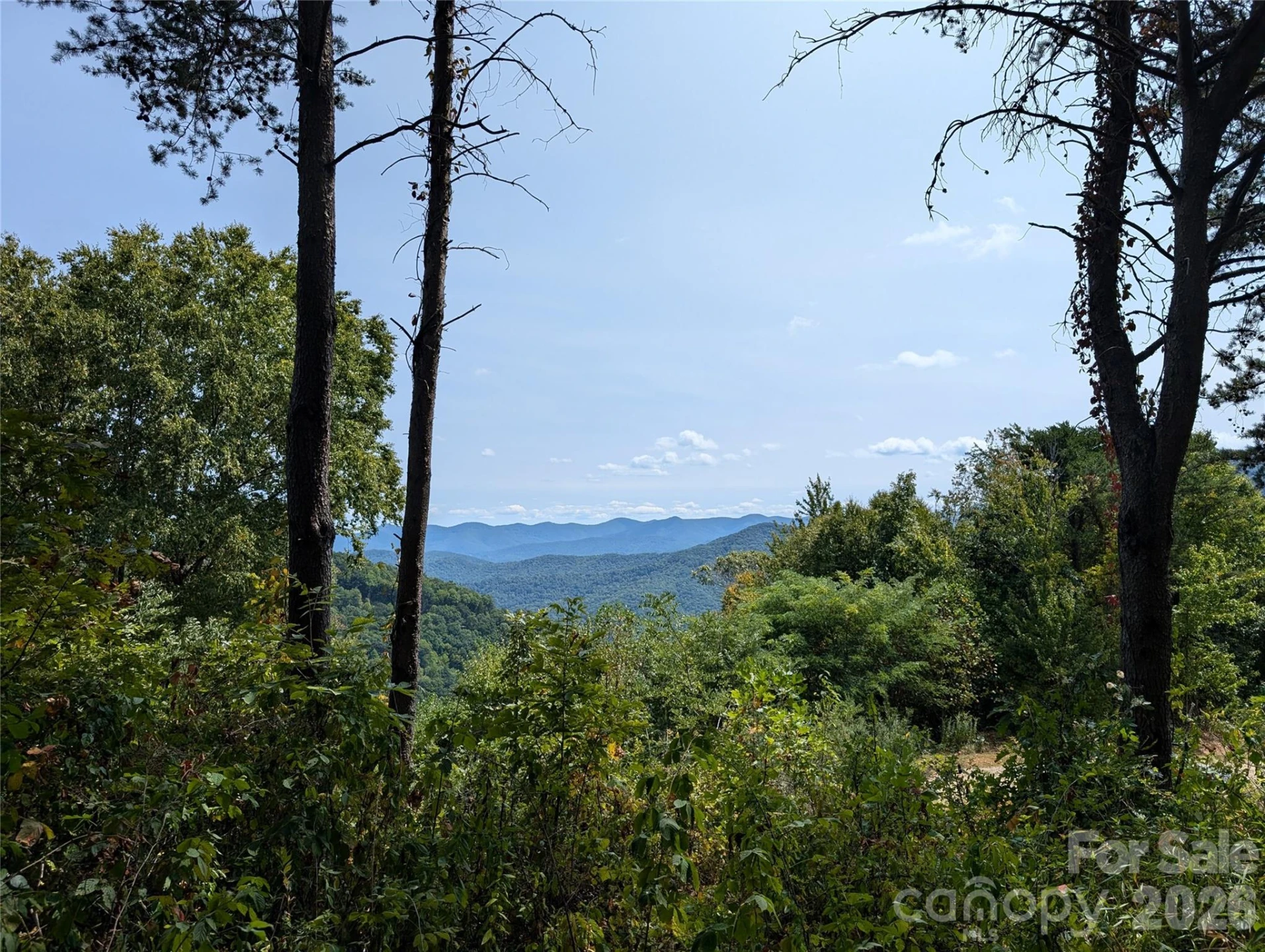 42 High Rock View Drive - Photo 2