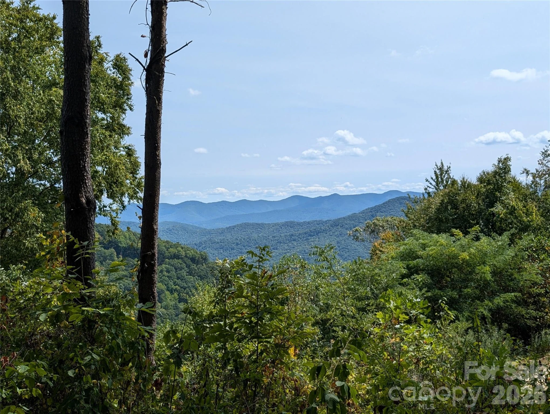 42 High Rock View Drive - Photo 8