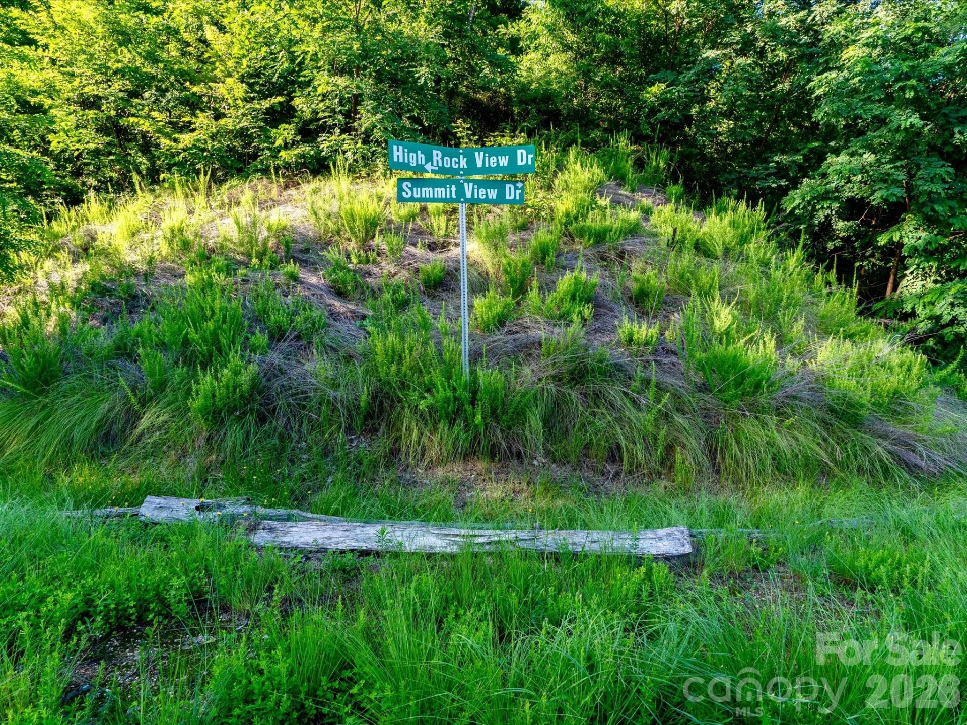 42 High Rock View Drive - Photo 10