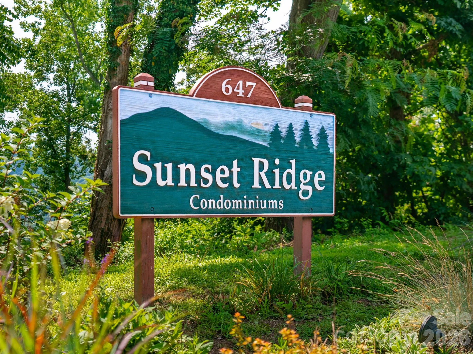 647 Town Mountain Road #309 - Photo 5