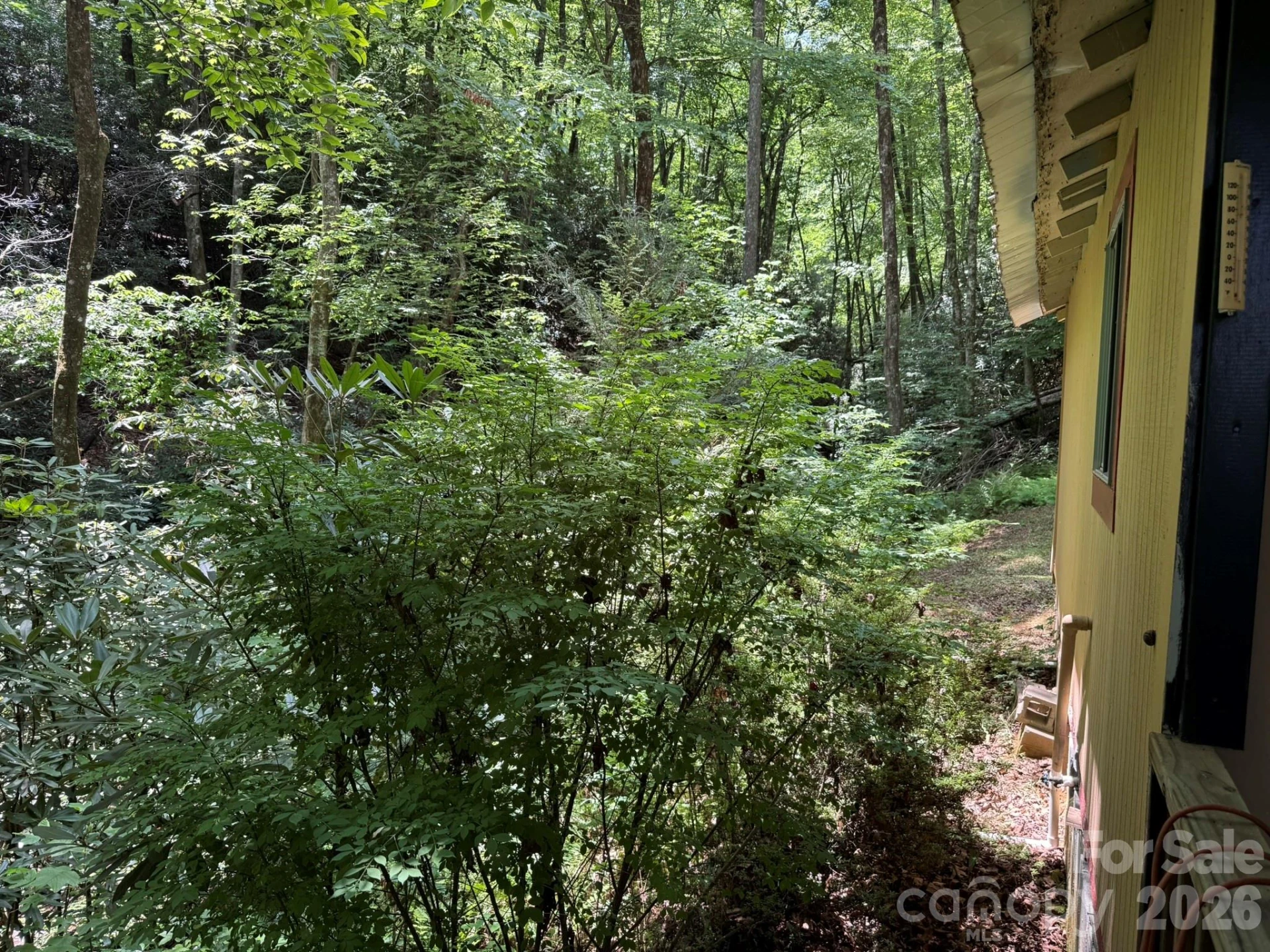 181 Lyman Lane - Photo 19