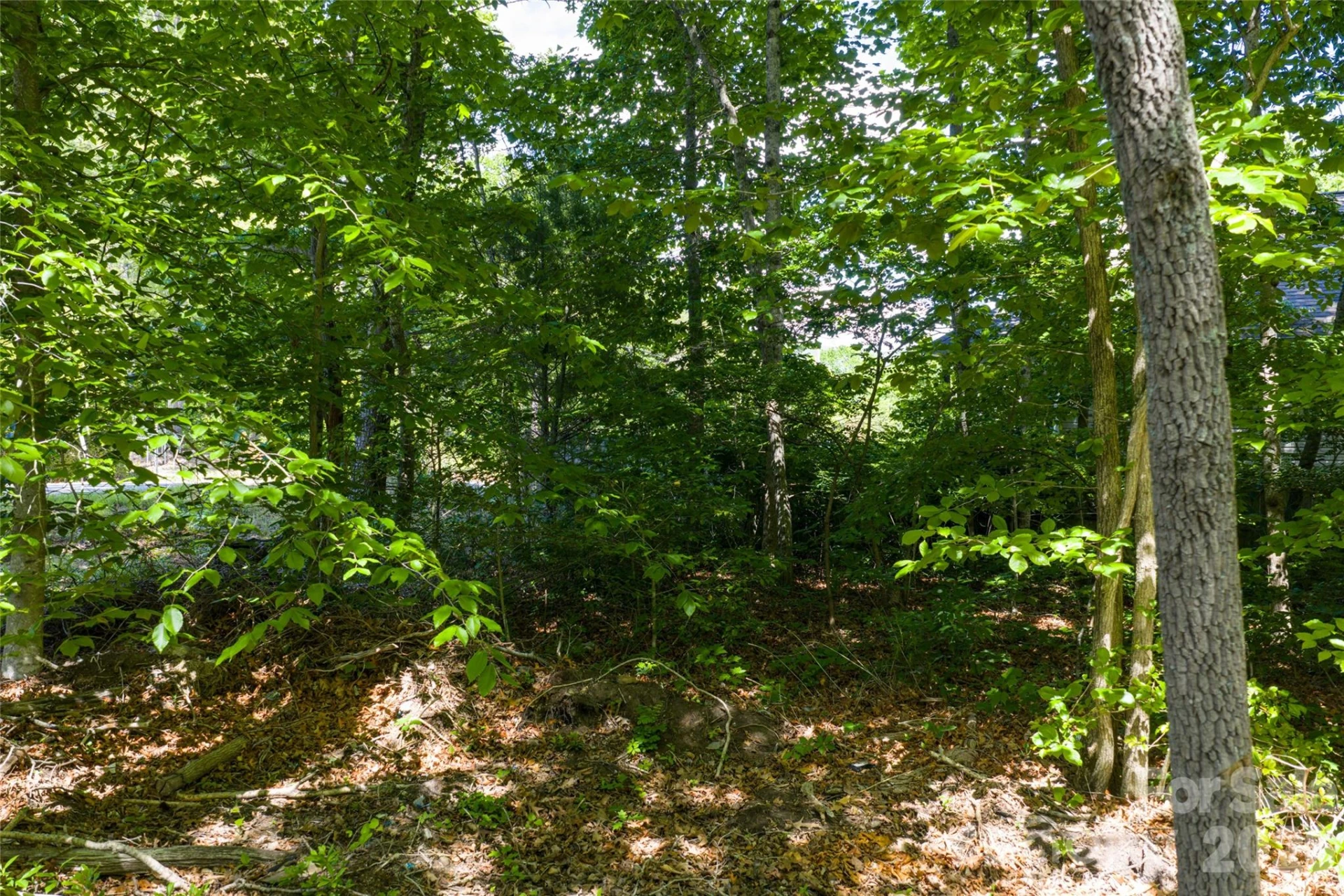 9999 Mount Allen Heights - Photo 11