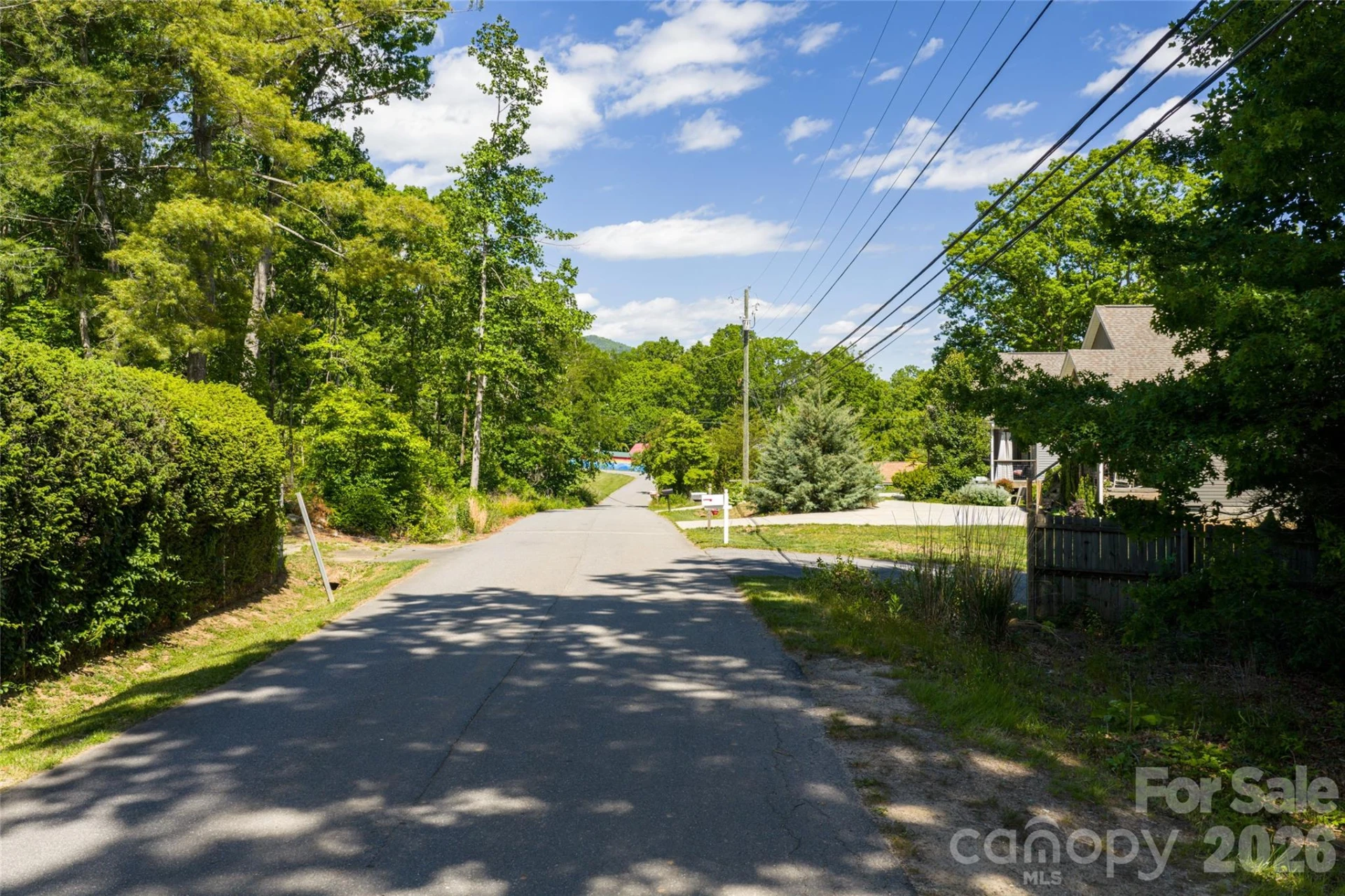 9999 Mount Allen Heights - Photo 12