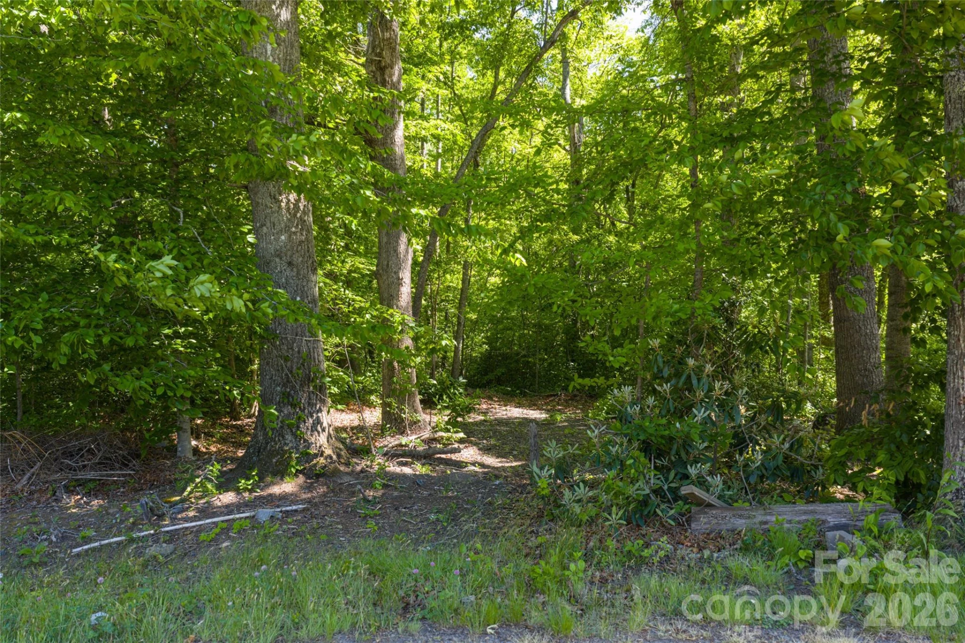 9999 Mount Allen Heights - Photo 6
