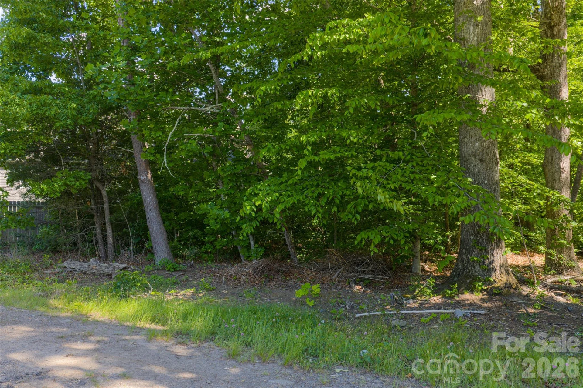 9999 Mount Allen Heights - Photo 7