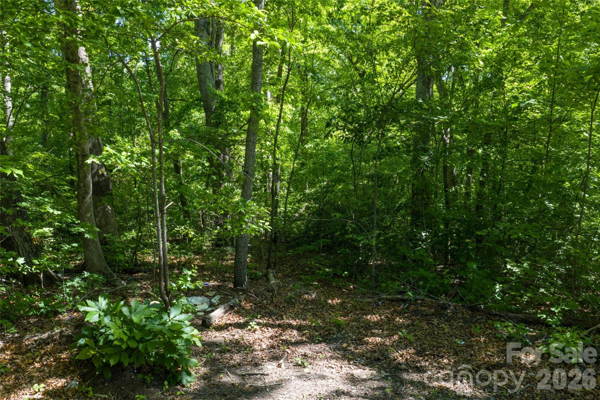 9999 Mount Allen Heights - Photo 8