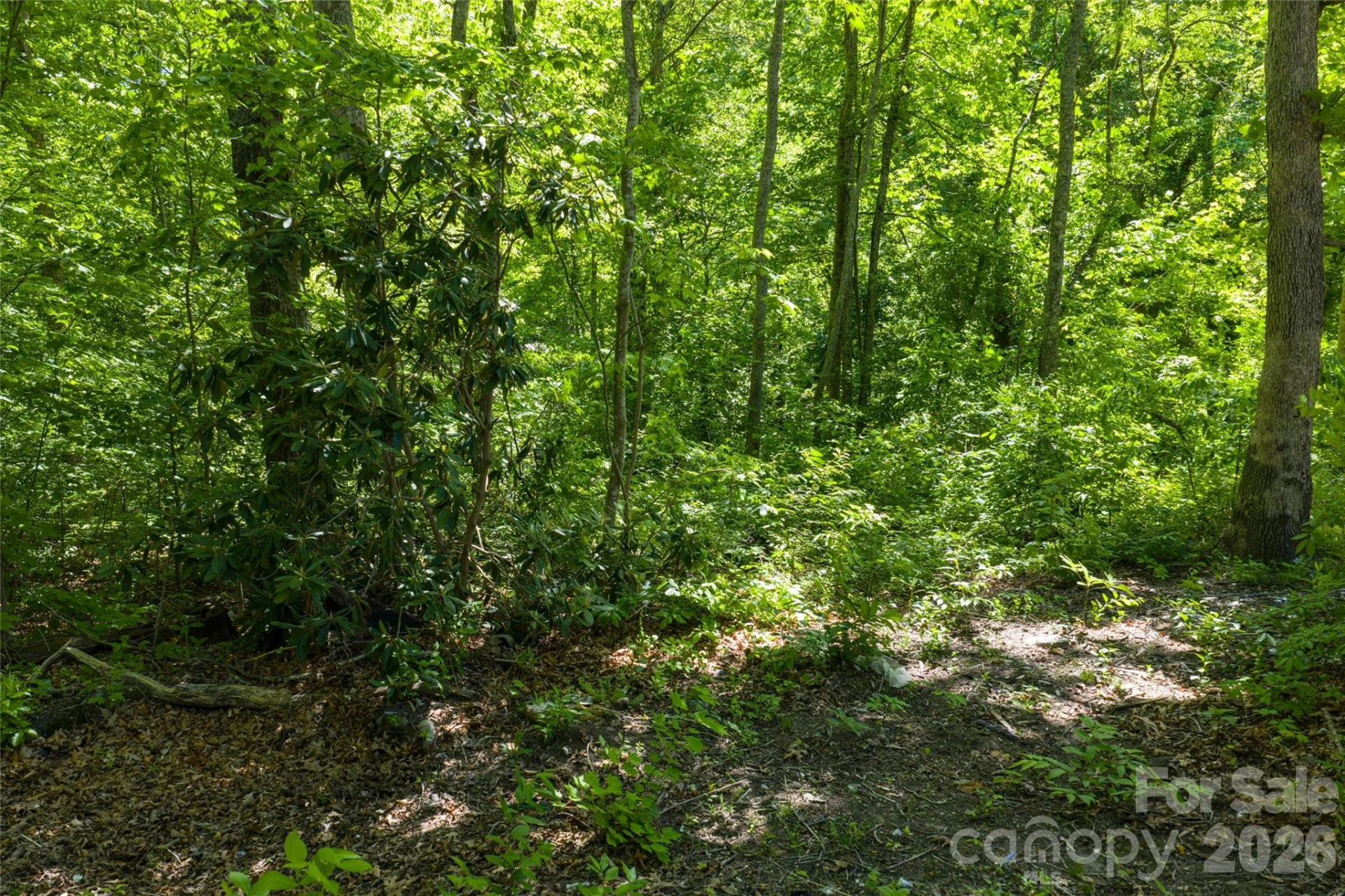 9999 Mount Allen Heights - Photo 9