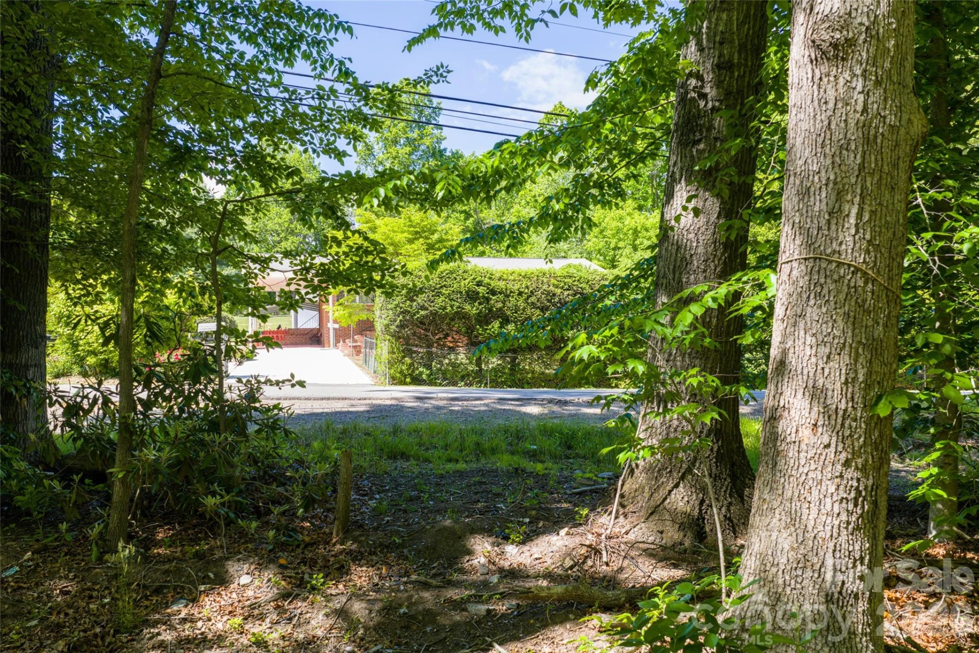 9999 Mount Allen Heights - Photo 10