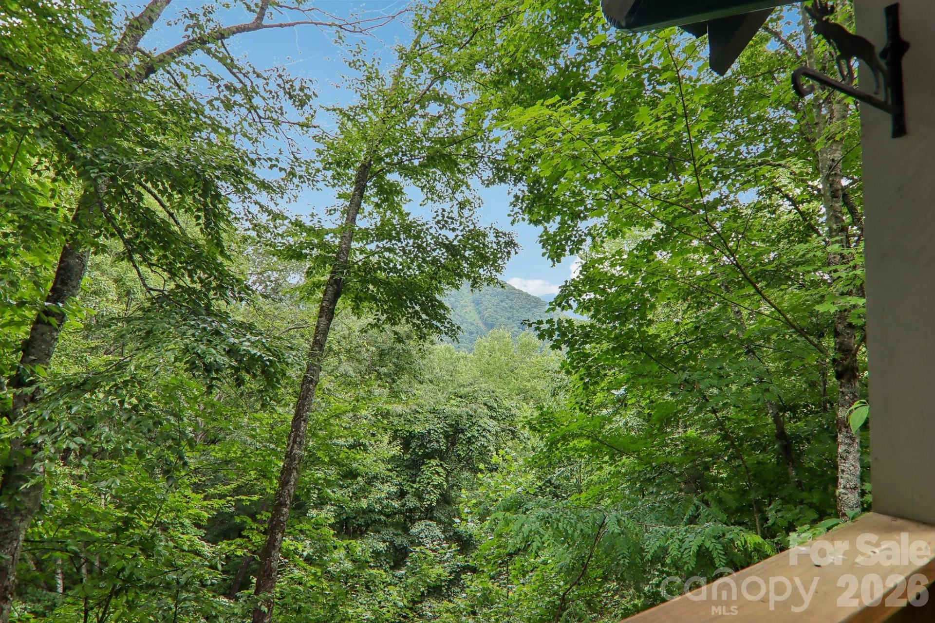 1061 Setzer Cove Road - Photo 4