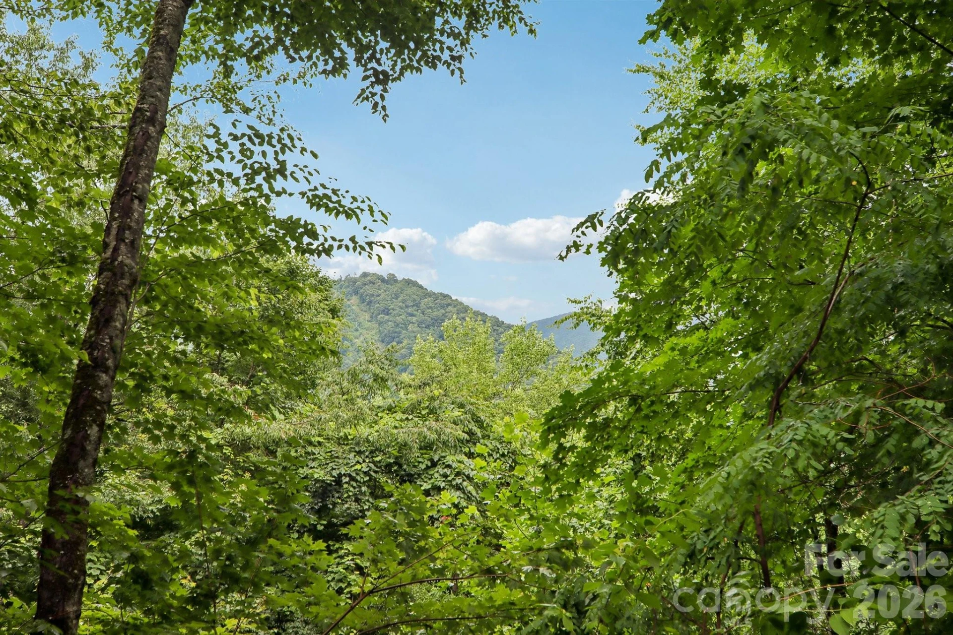 1061 Setzer Cove Road - Photo 41