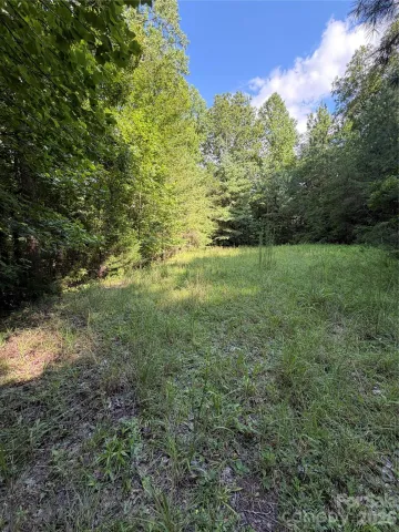 0 Greenhill Farms Drive, Rutherfordton, NC, 28139
