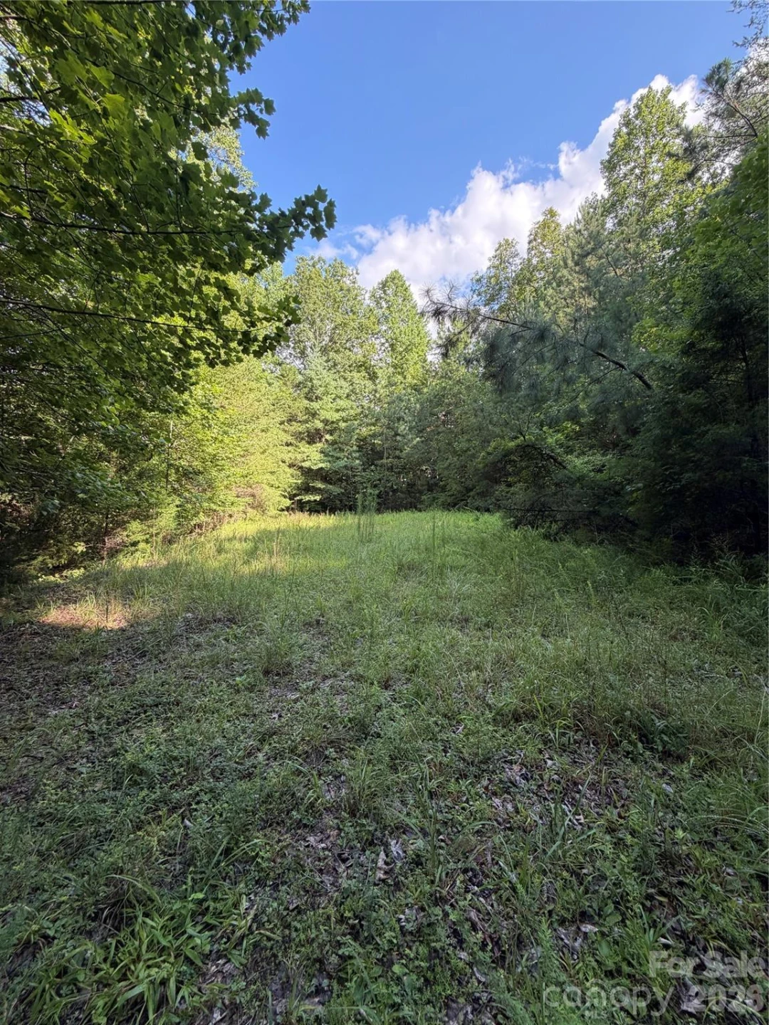 0 Greenhill Farms Drive #15 - Photo 4