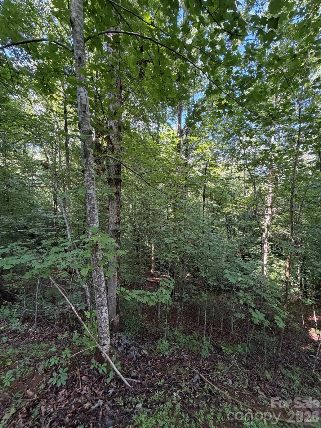 0 Greenhill Farms Drive #15 - Photo 5