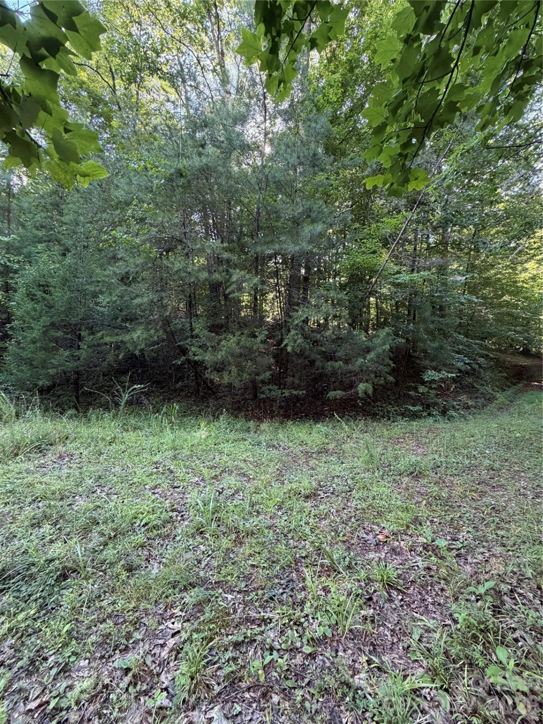 0 Greenhill Farms Drive #15 - Photo 6