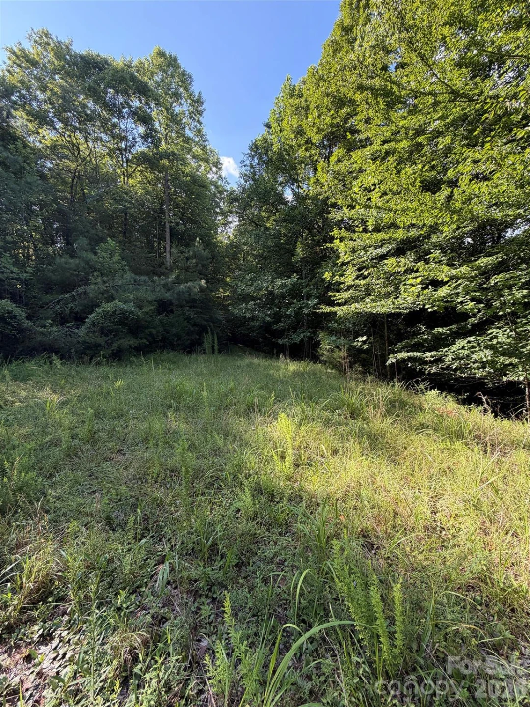 0 Greenhill Farms Drive #15 - Photo 8