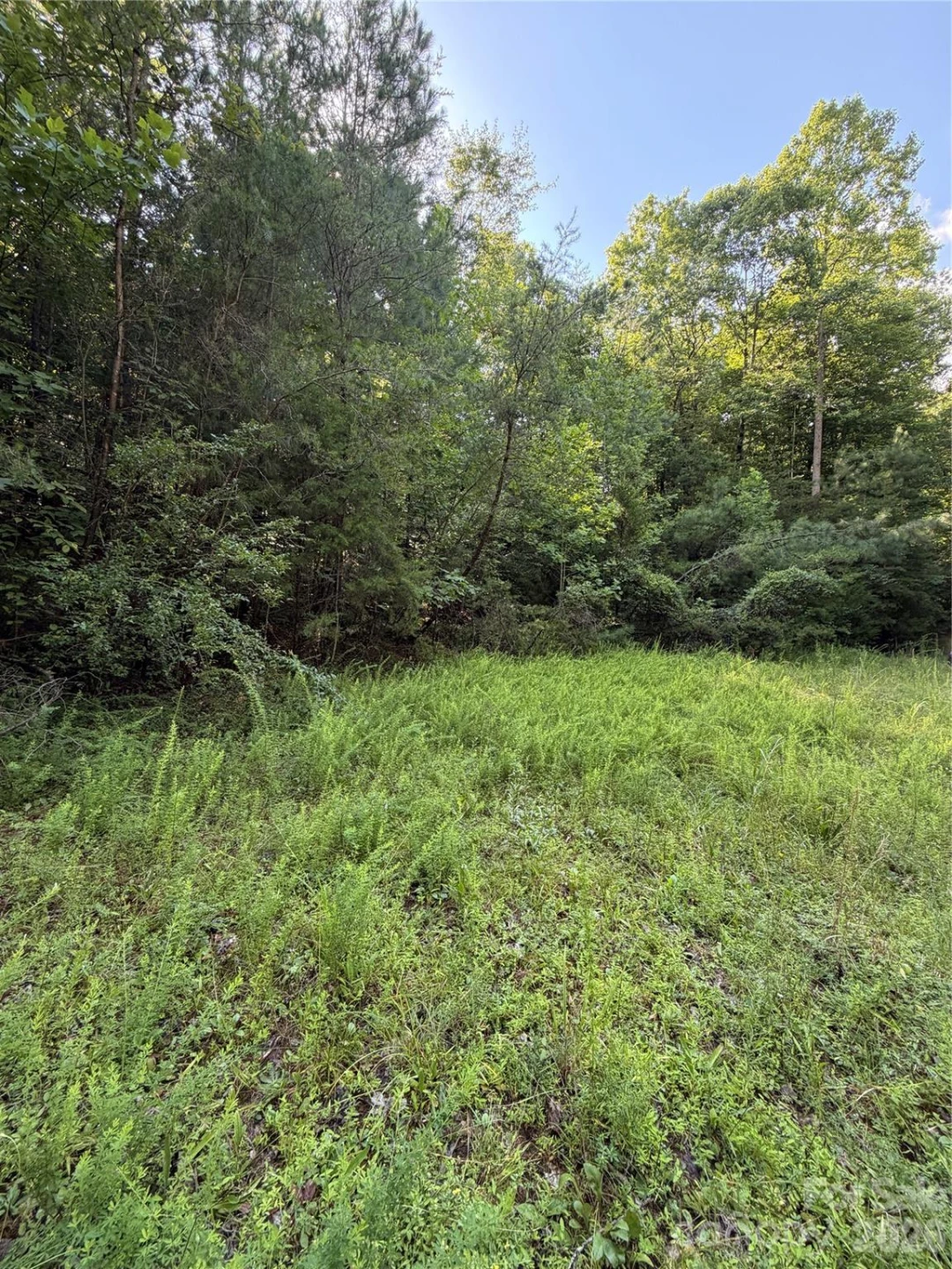 0 Greenhill Farms Drive #15 - Photo 9