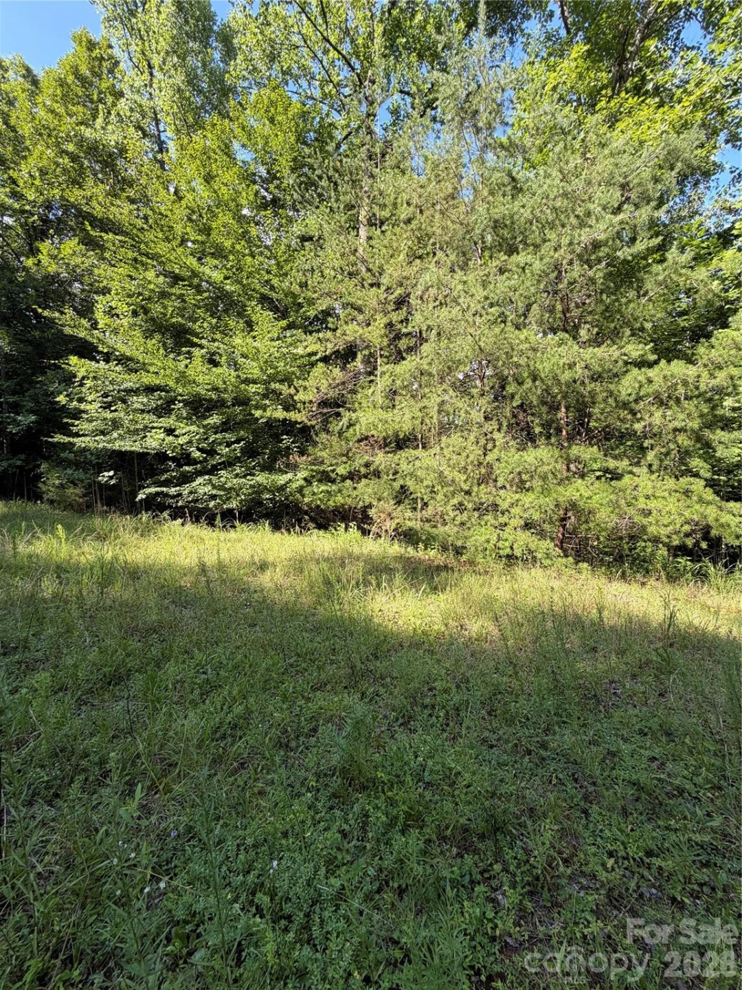 0 Greenhill Farms Drive #15 - Photo 10