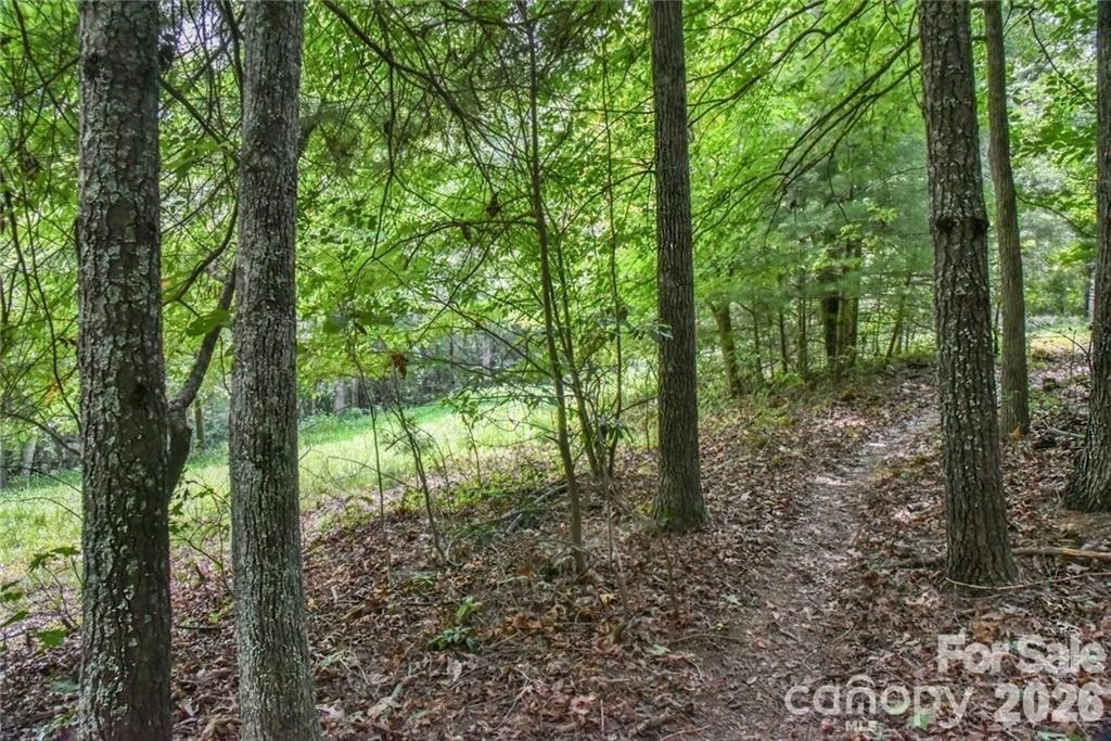 19 Laurel Loop Road - Photo 3