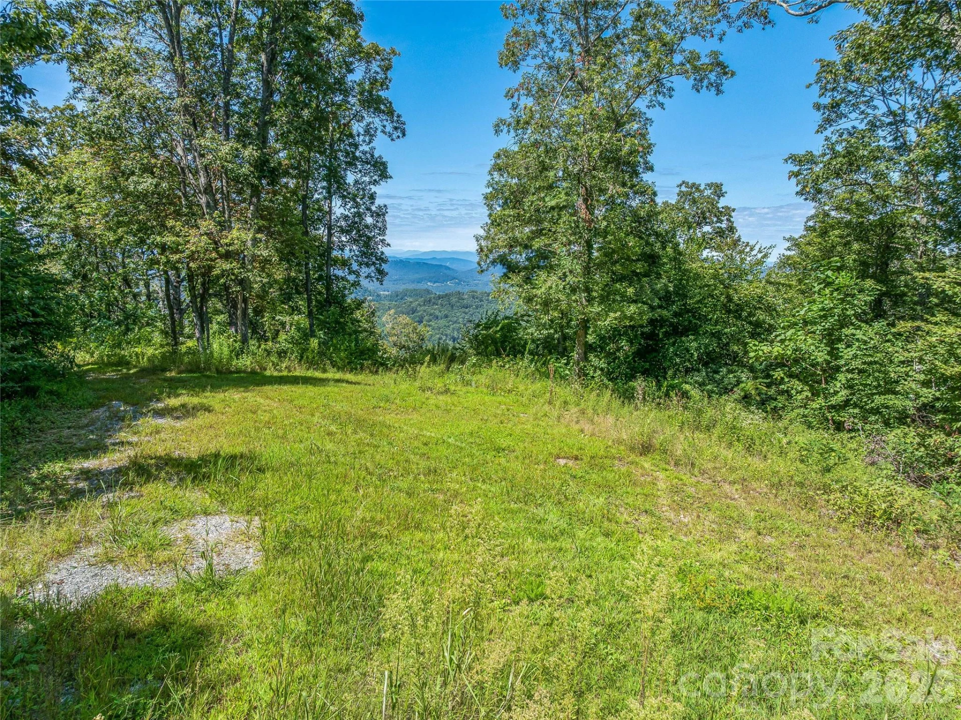 632 Justus Case Mountain Place - Photo 11