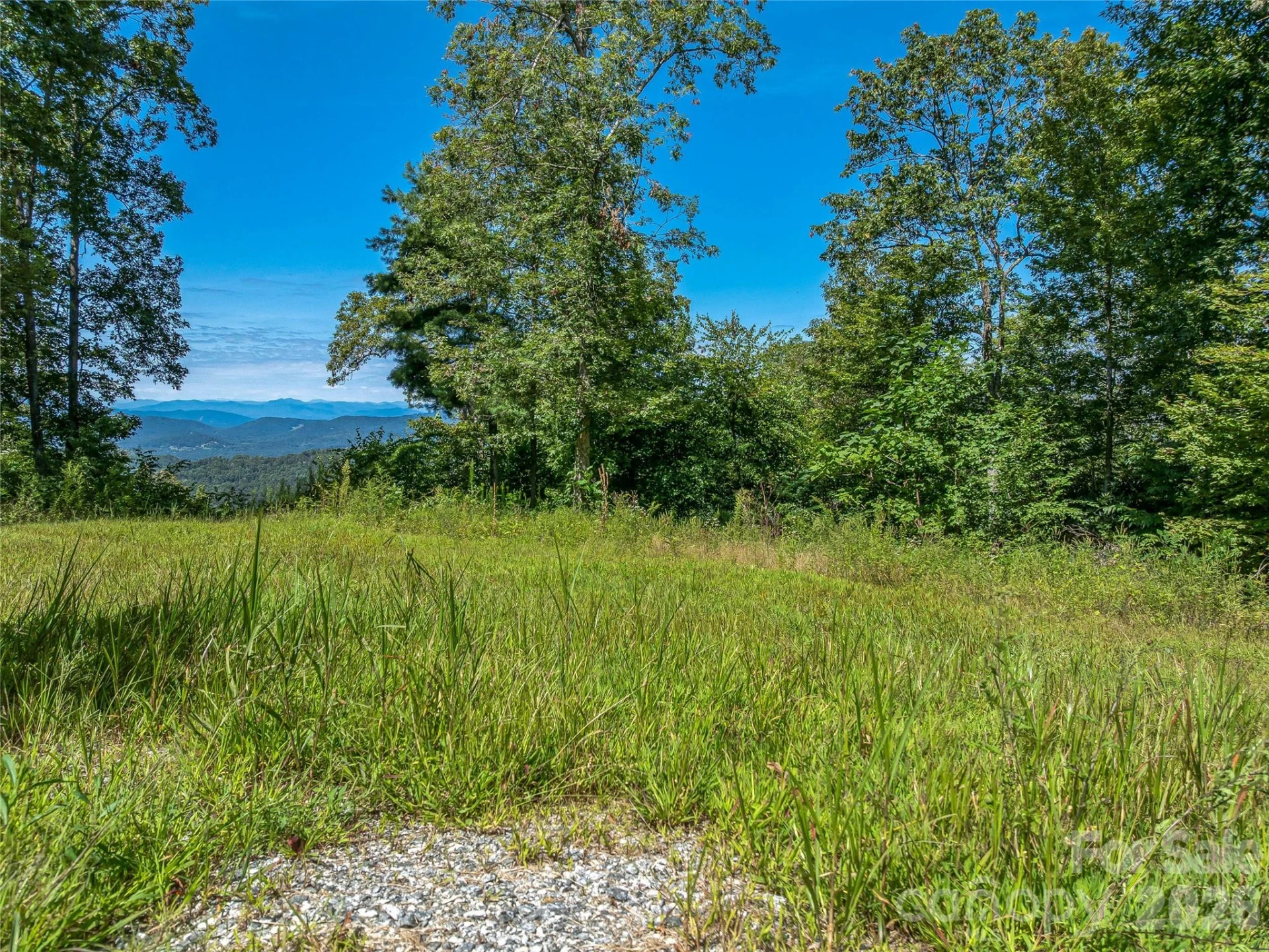 632 Justus Case Mountain Place - Photo 12