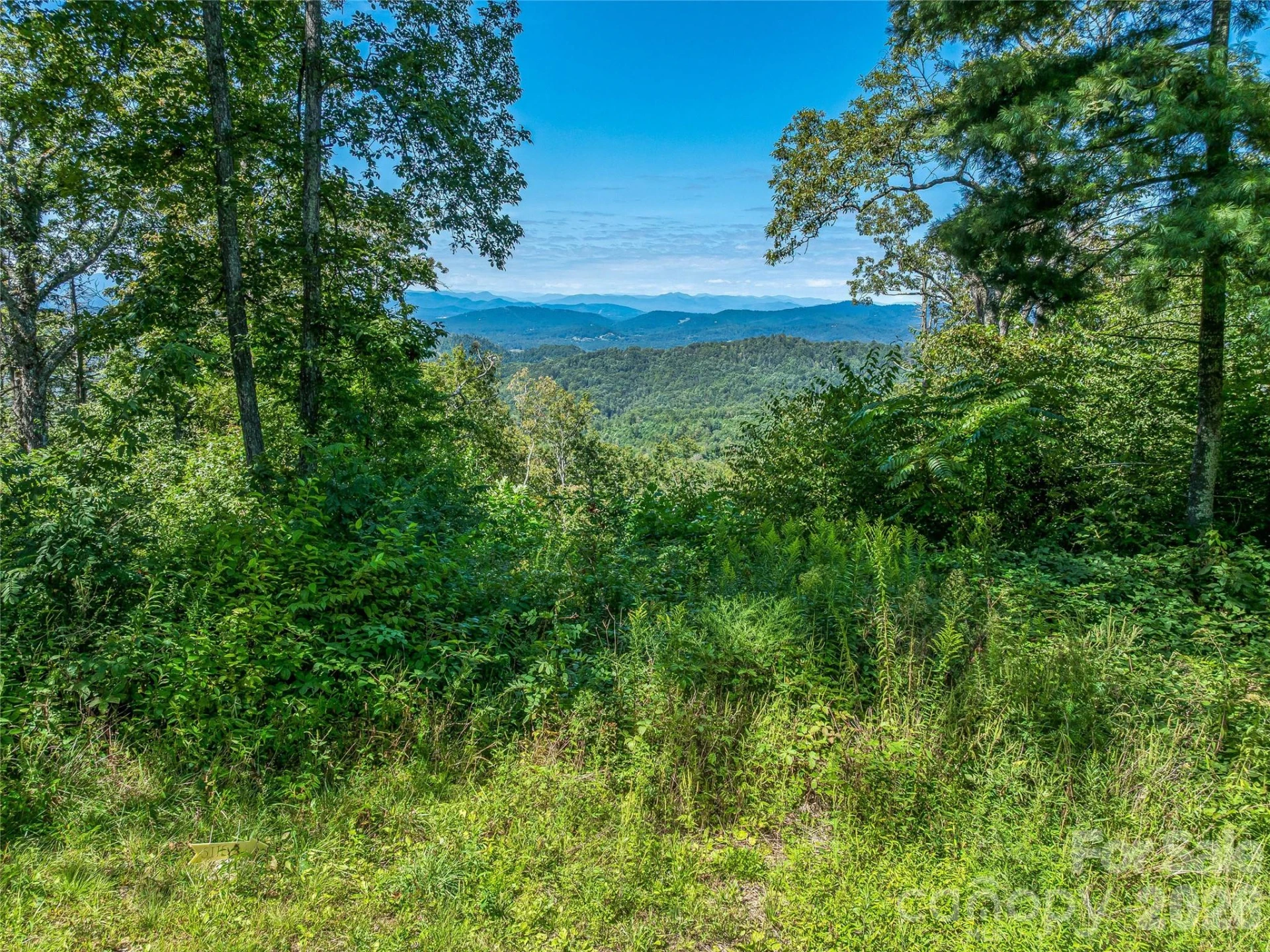 632 Justus Case Mountain Place - Photo 13