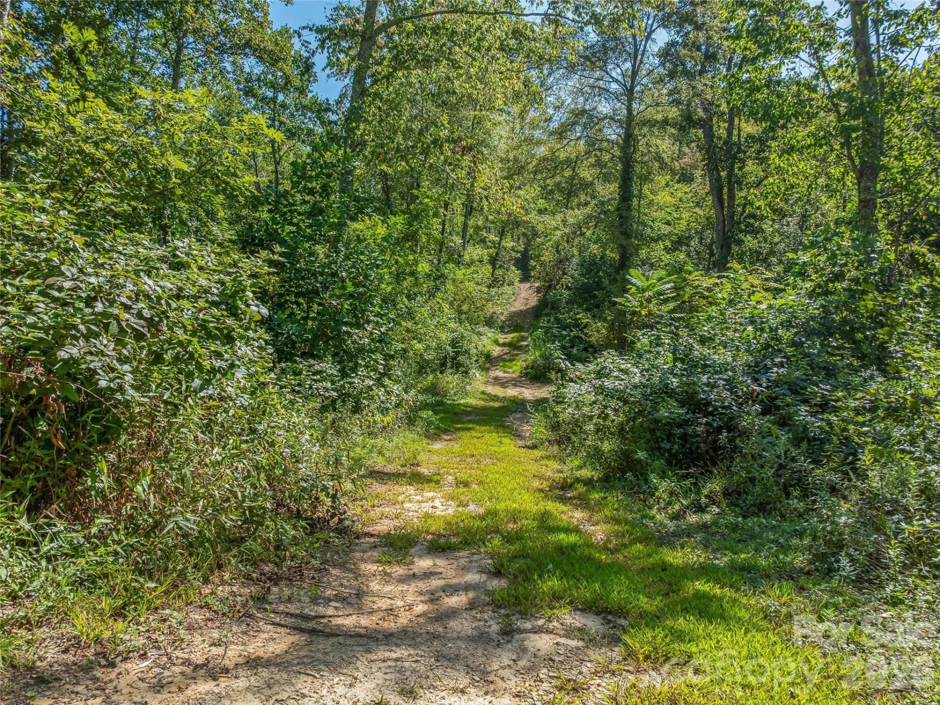 632 Justus Case Mountain Place - Photo 16