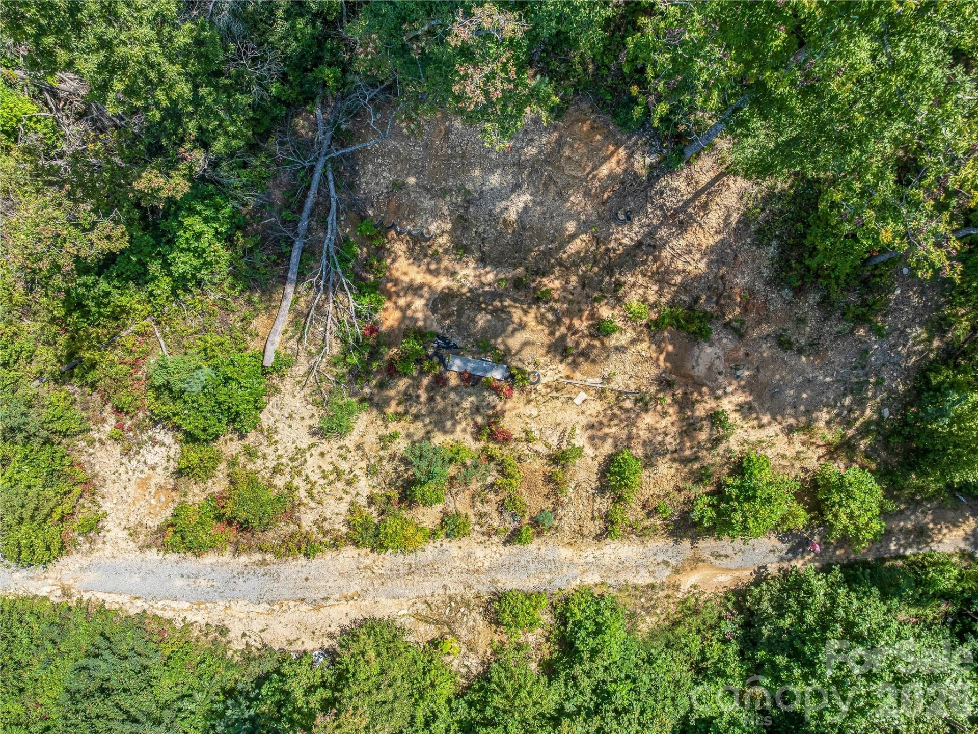 632 Justus Case Mountain Place - Photo 19