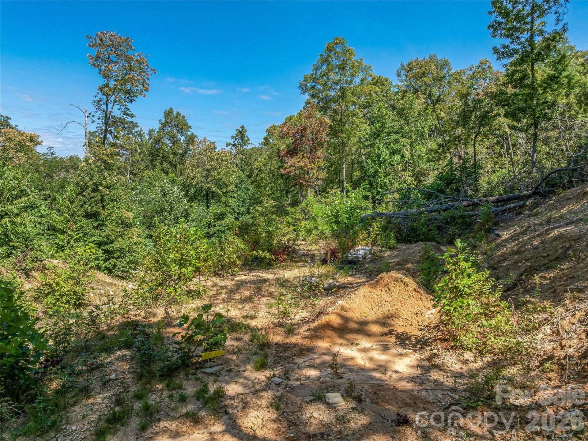 632 Justus Case Mountain Place - Photo 20