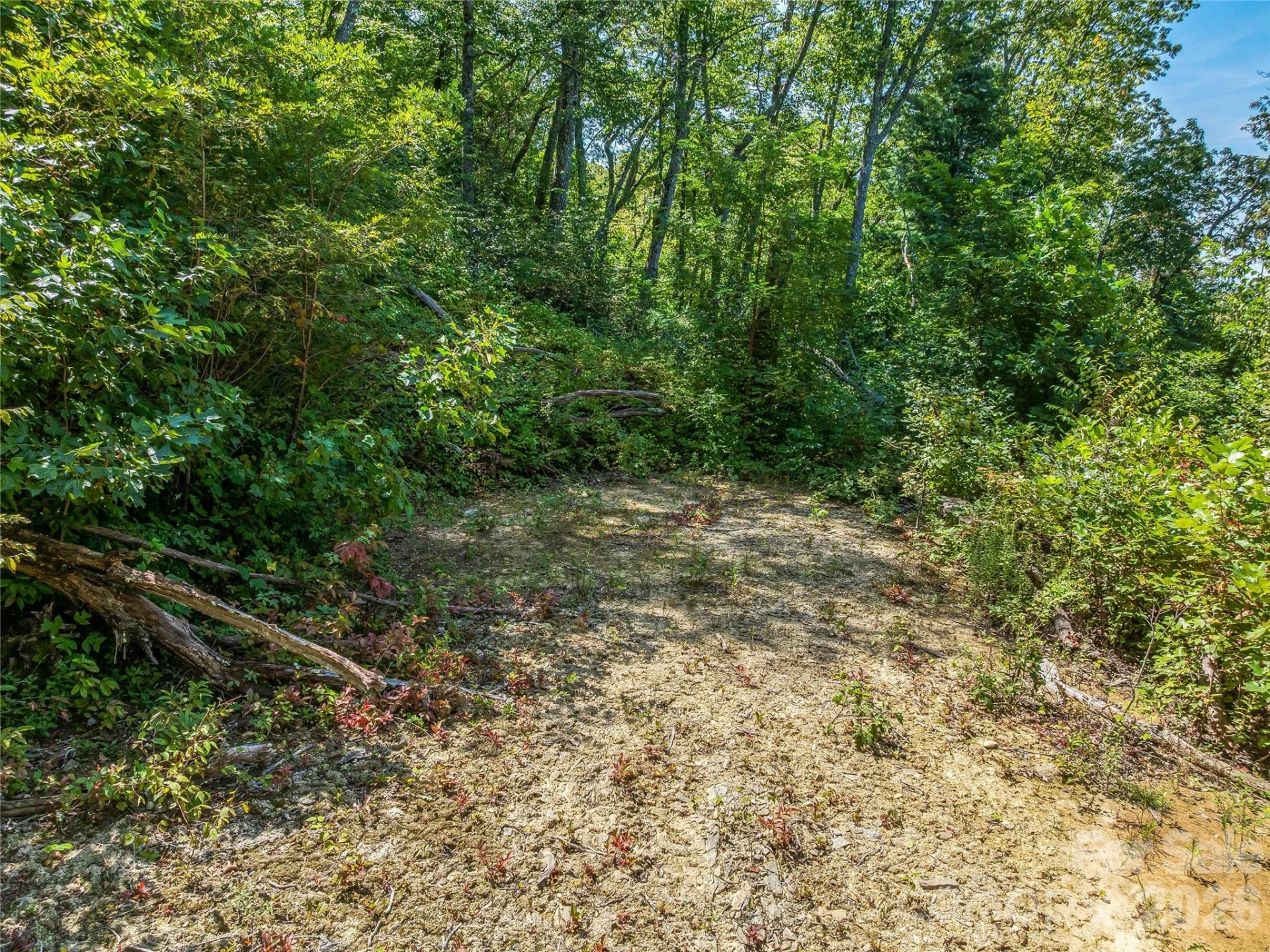 632 Justus Case Mountain Place - Photo 3